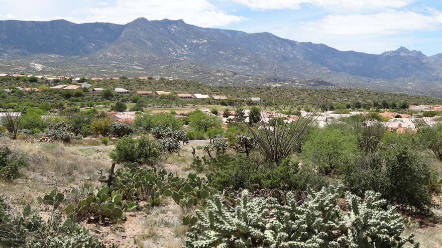 Up on a hill outside of the Premier Adult Community of Saddlebrooke, and no HOA. Sweeping views of the Catalina Mtn range & Saddlebrooke golf course. This is an exclusive area of 1 acre lots restricted to custom homes of a minimum of 2300 sq ft and a height restriction of 18'. A paved road leads to the lots. Slight slope to property for an easy build. Come see this beautiful piece of property and build your dream home.