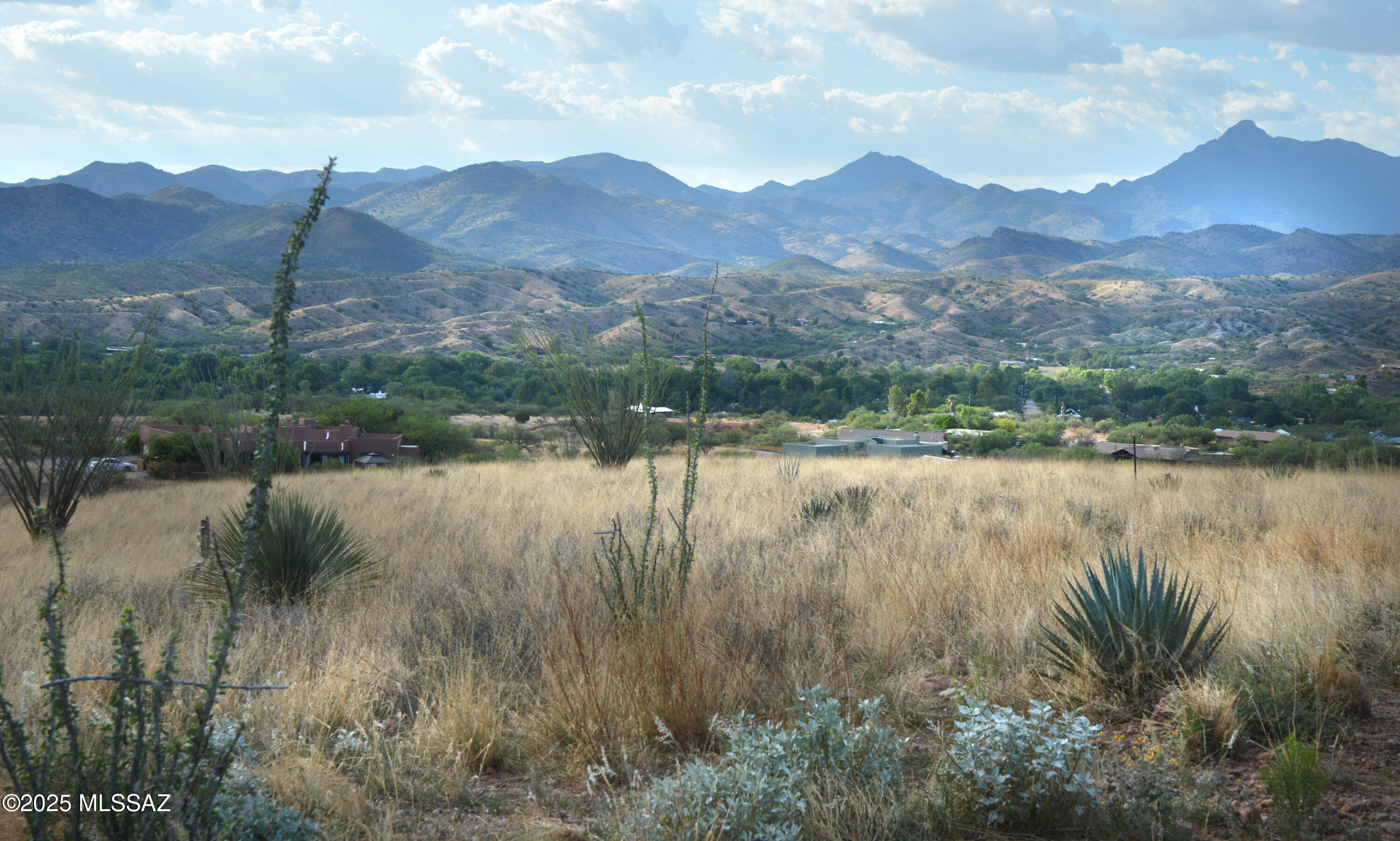 Mesa (The) - Residential