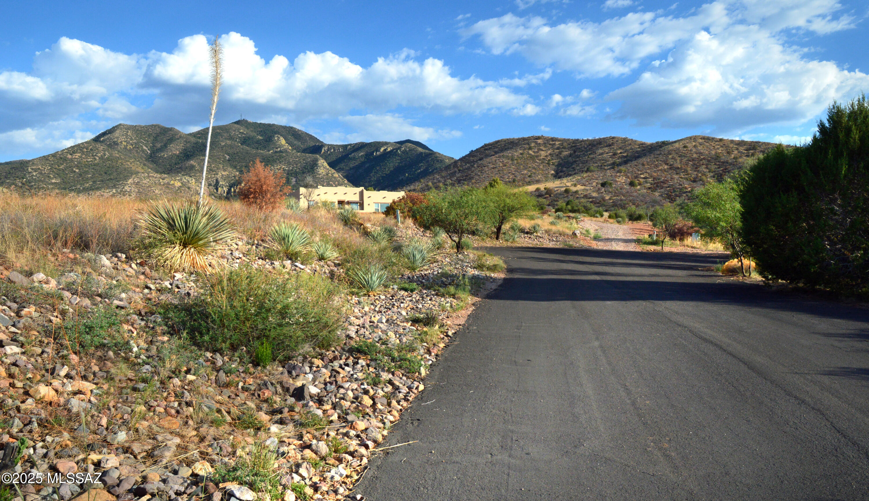 Mesa (The) - Residential