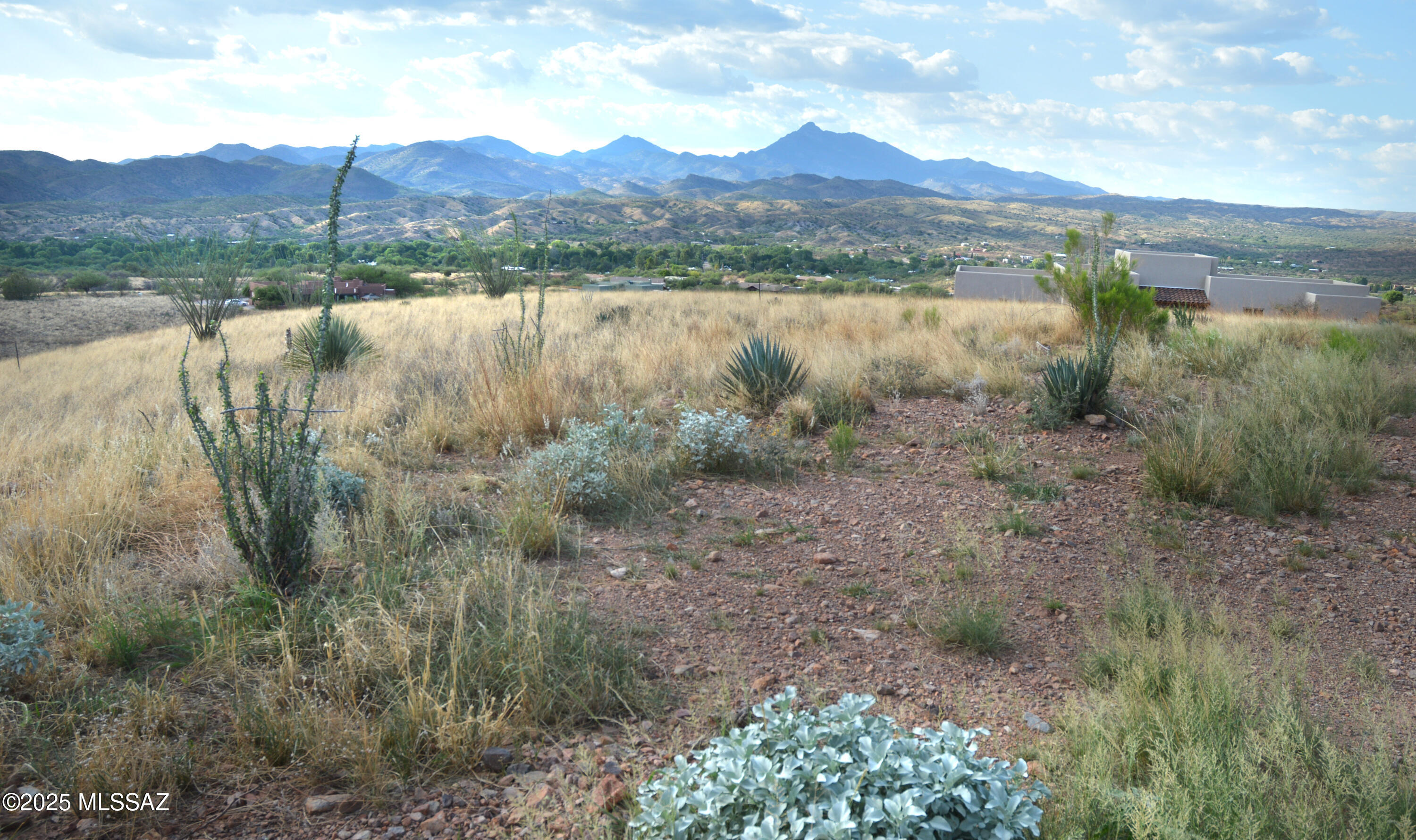 Mesa (The) - Residential