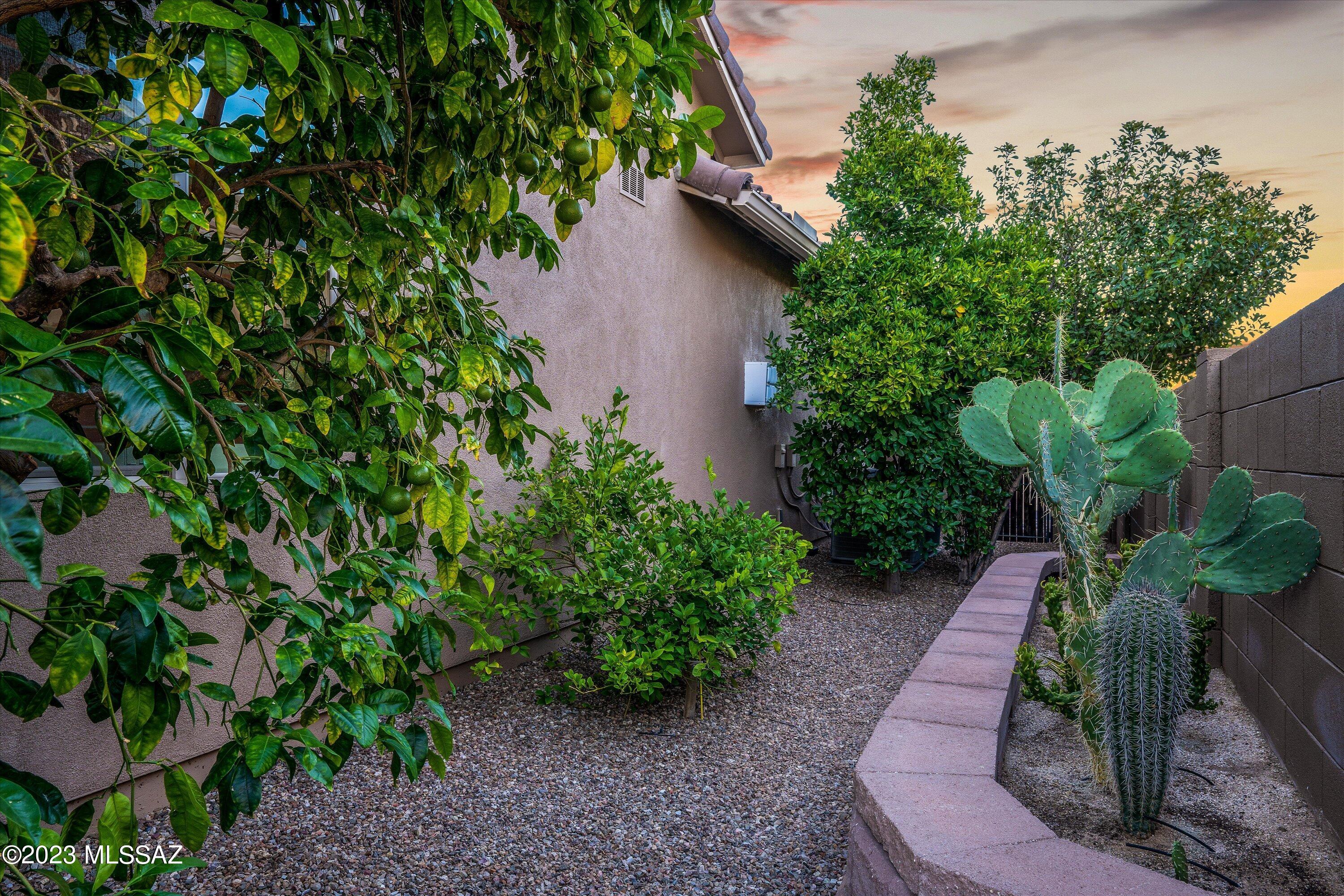 Rancho Vistoso Neighborhood 10 - Residential