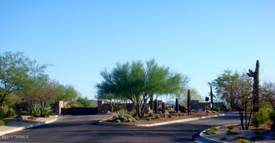 Dos Lagos at Dove Mountain (1-91) - Residential