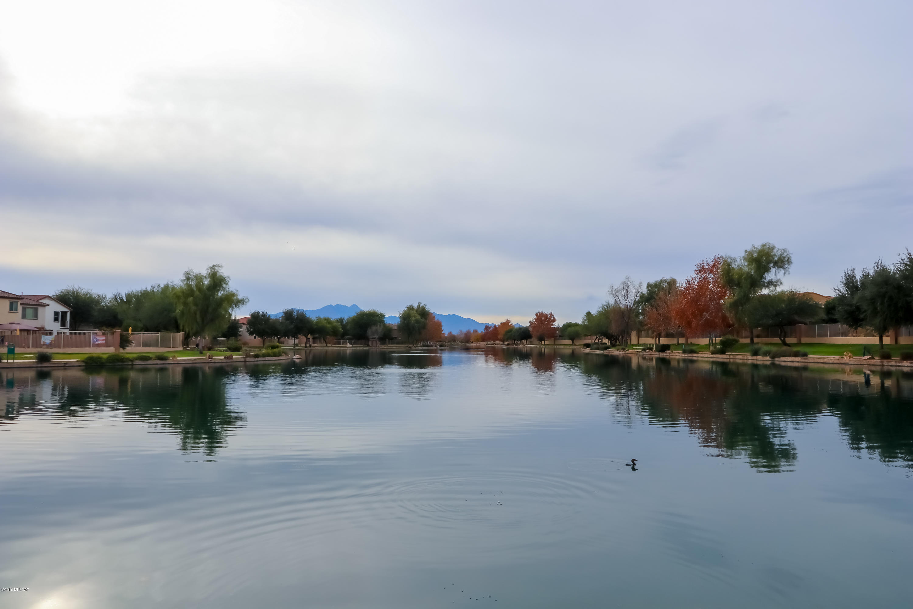 Presidios at Rancho Sahuarita (1-927) - Residential