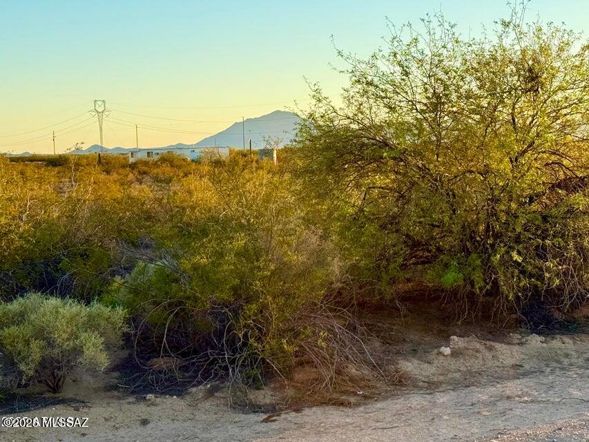 Out Of Pima County - Land
