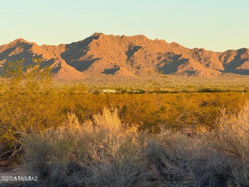 Out Of Pima County - Land