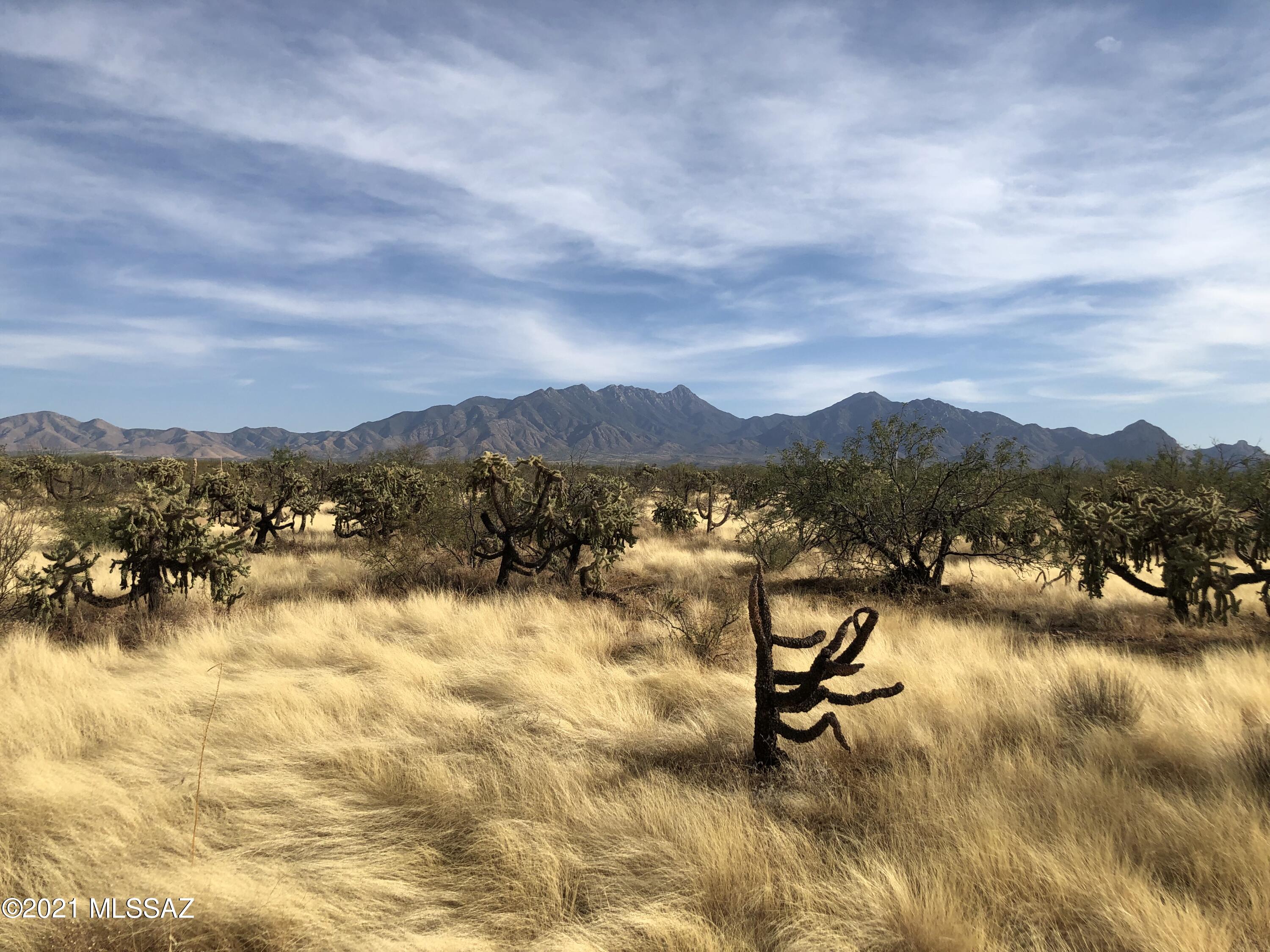 Madera Foothills Estates - Land