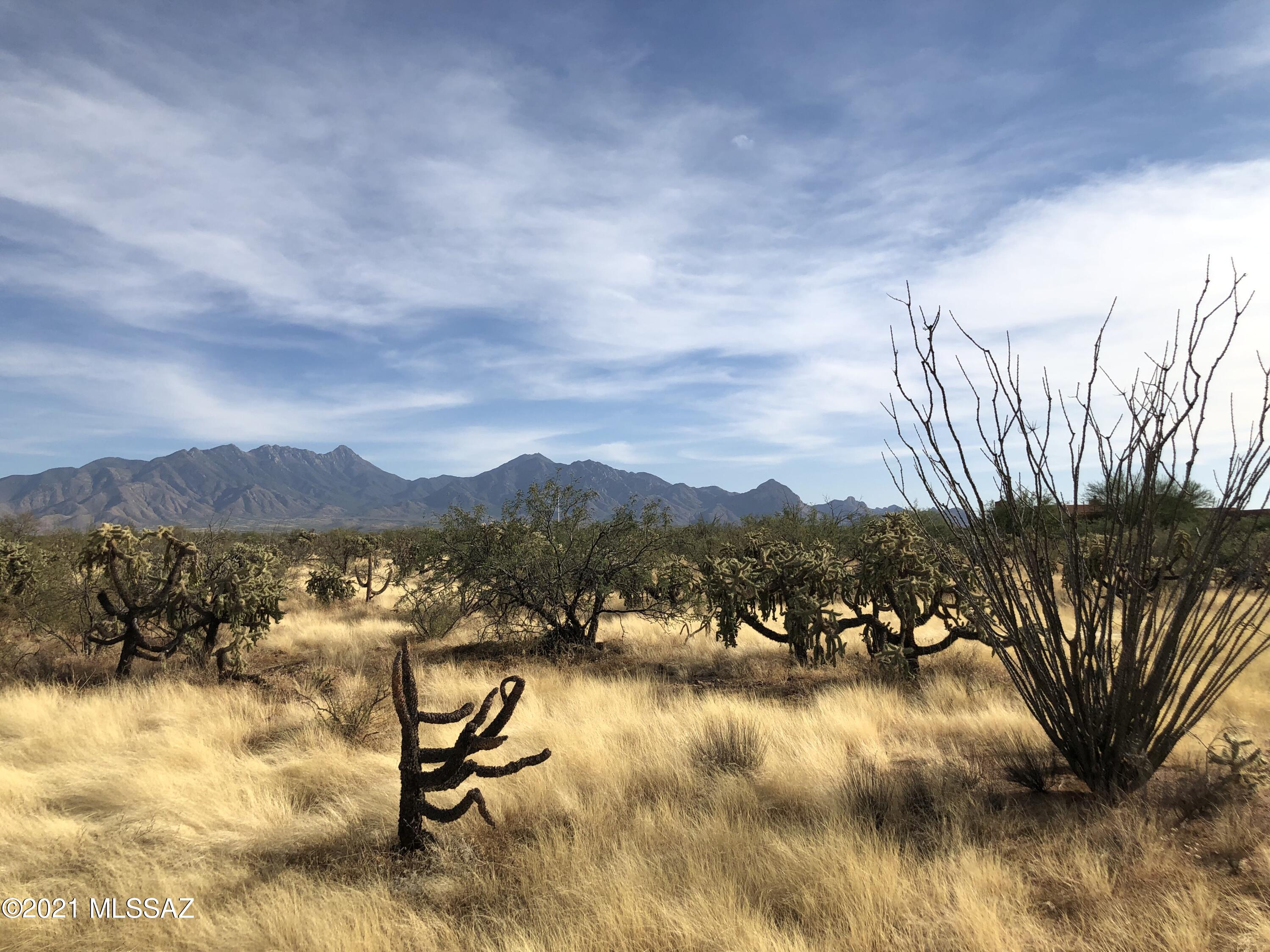 Madera Foothills Estates - Land