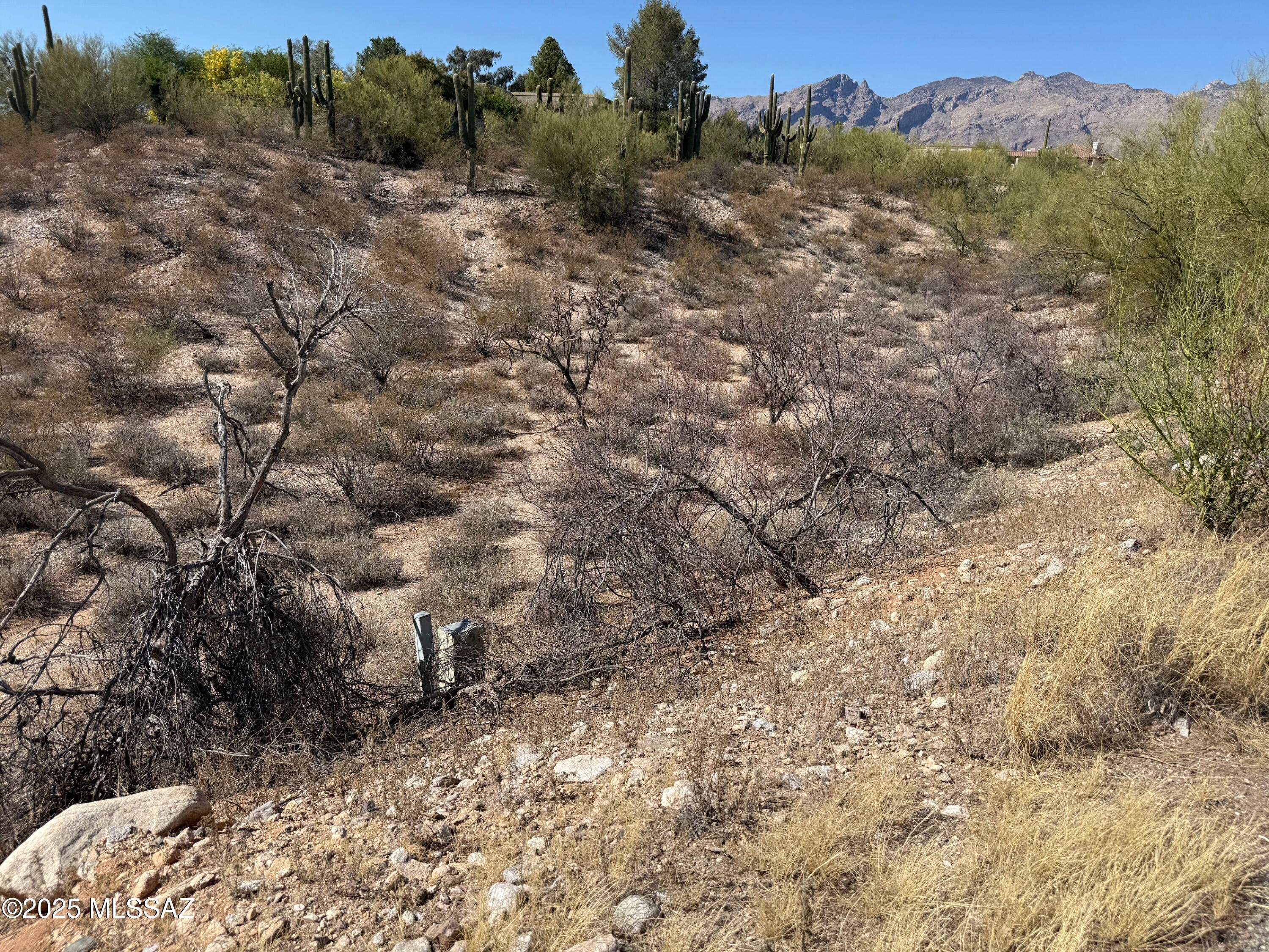 3961 E San Simeon Drive