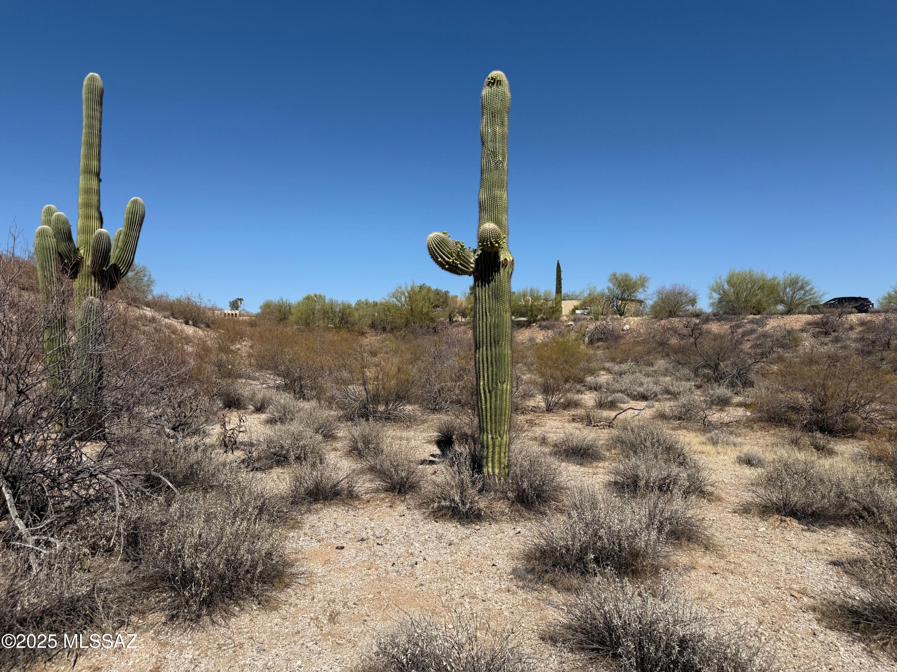 3961 E San Simeon Drive