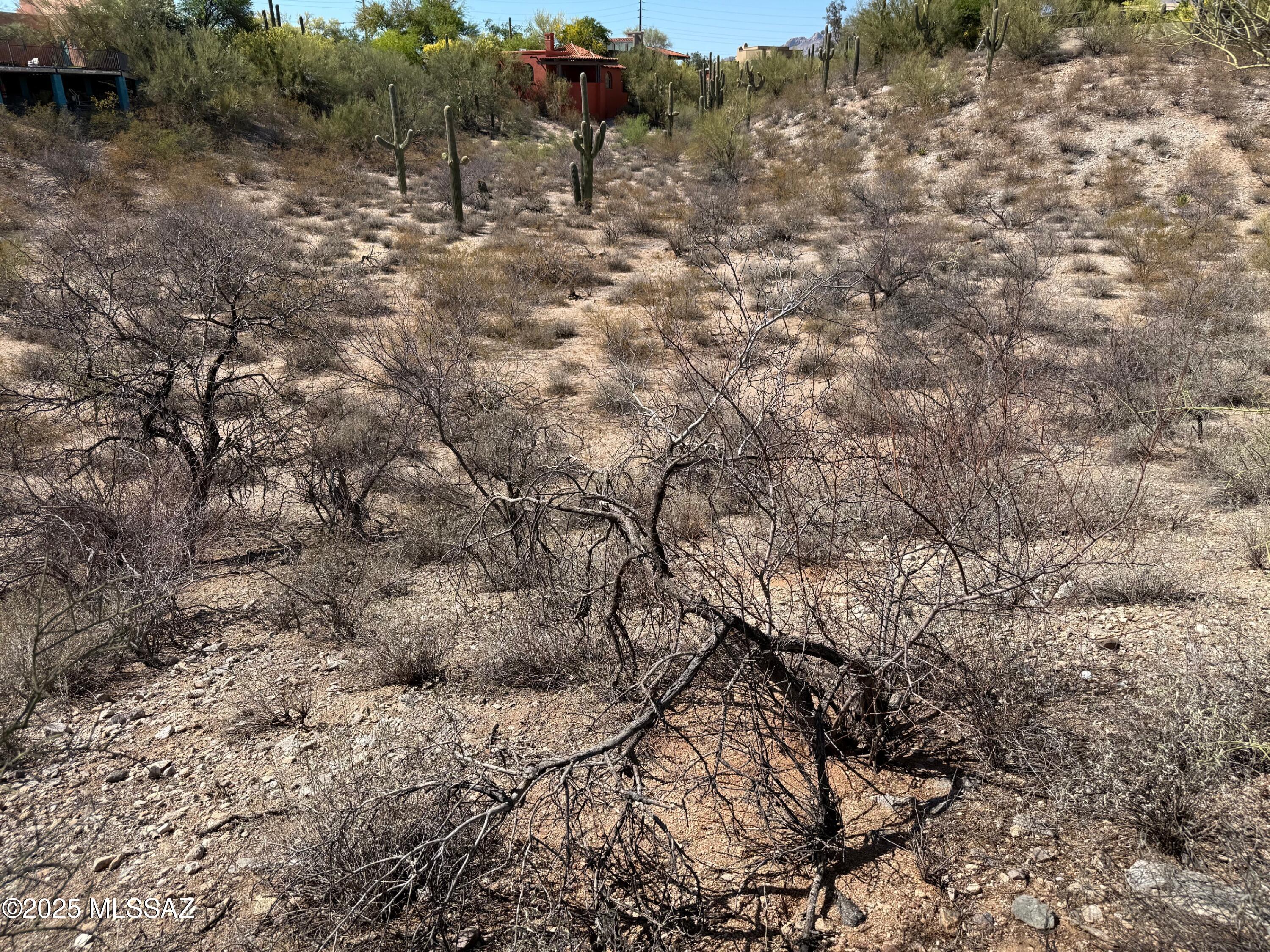 3961 E San Simeon Drive