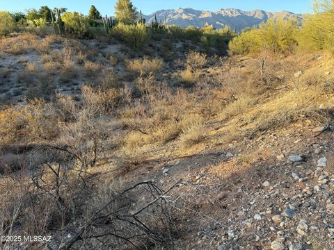 3961 E San Simeon Drive Tucson AZ 85718