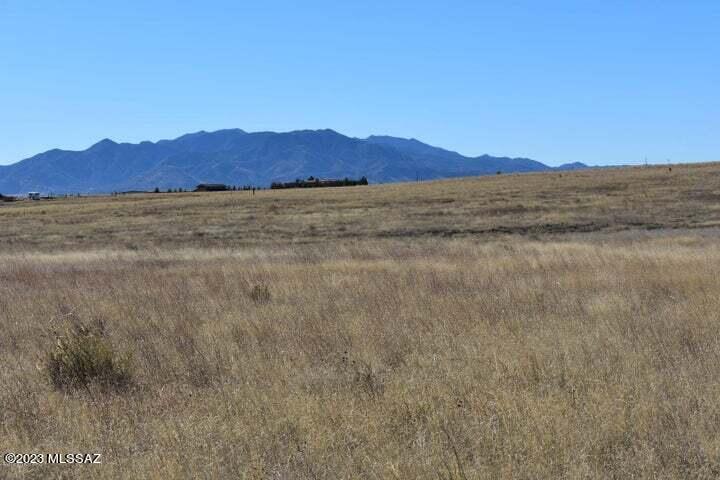 San Ignacio Ranch - Land