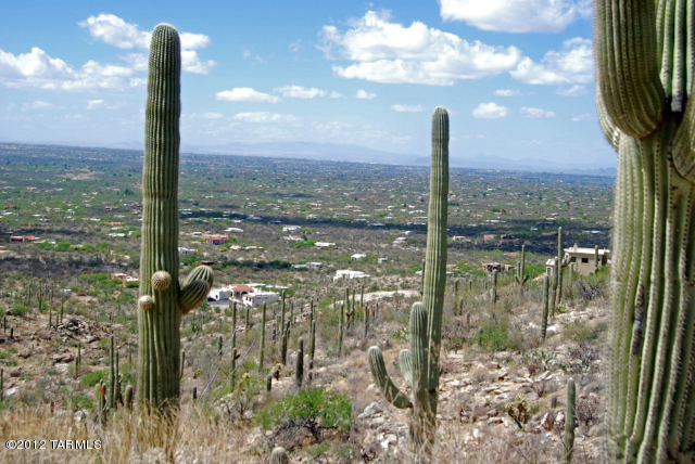 View Tucson, AZ 85749 property