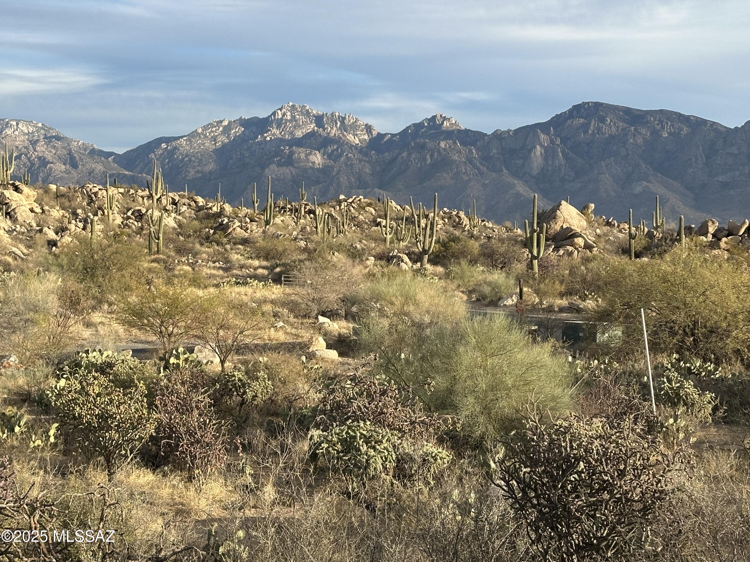1533 Tortolita Mountain Circle 286