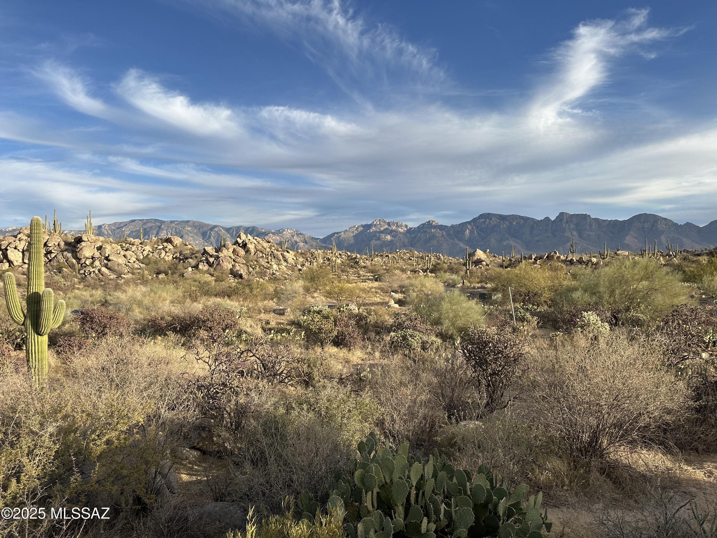 1533 Tortolita Mountain Circle 286