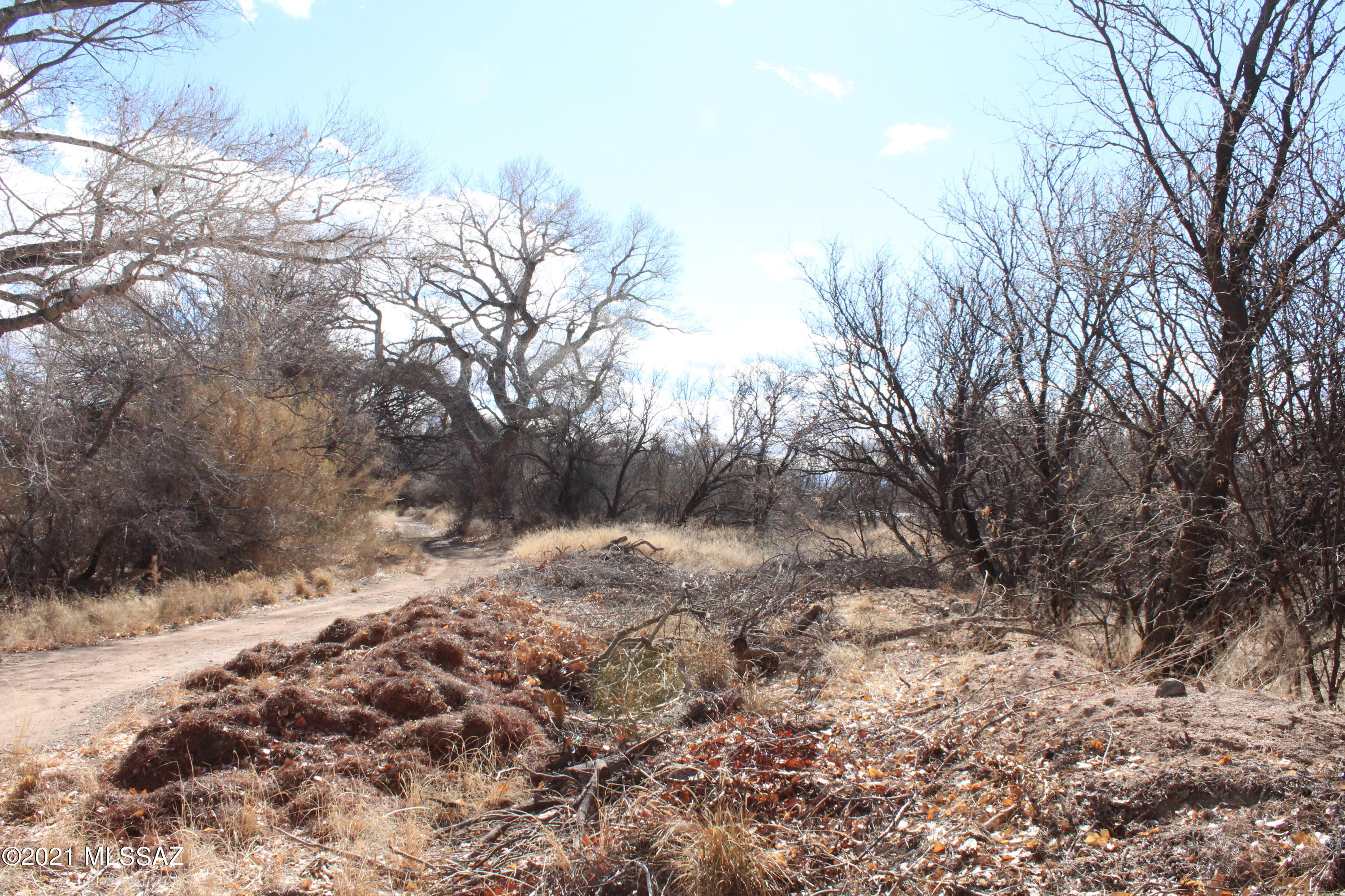 Out Of Pima County - Land