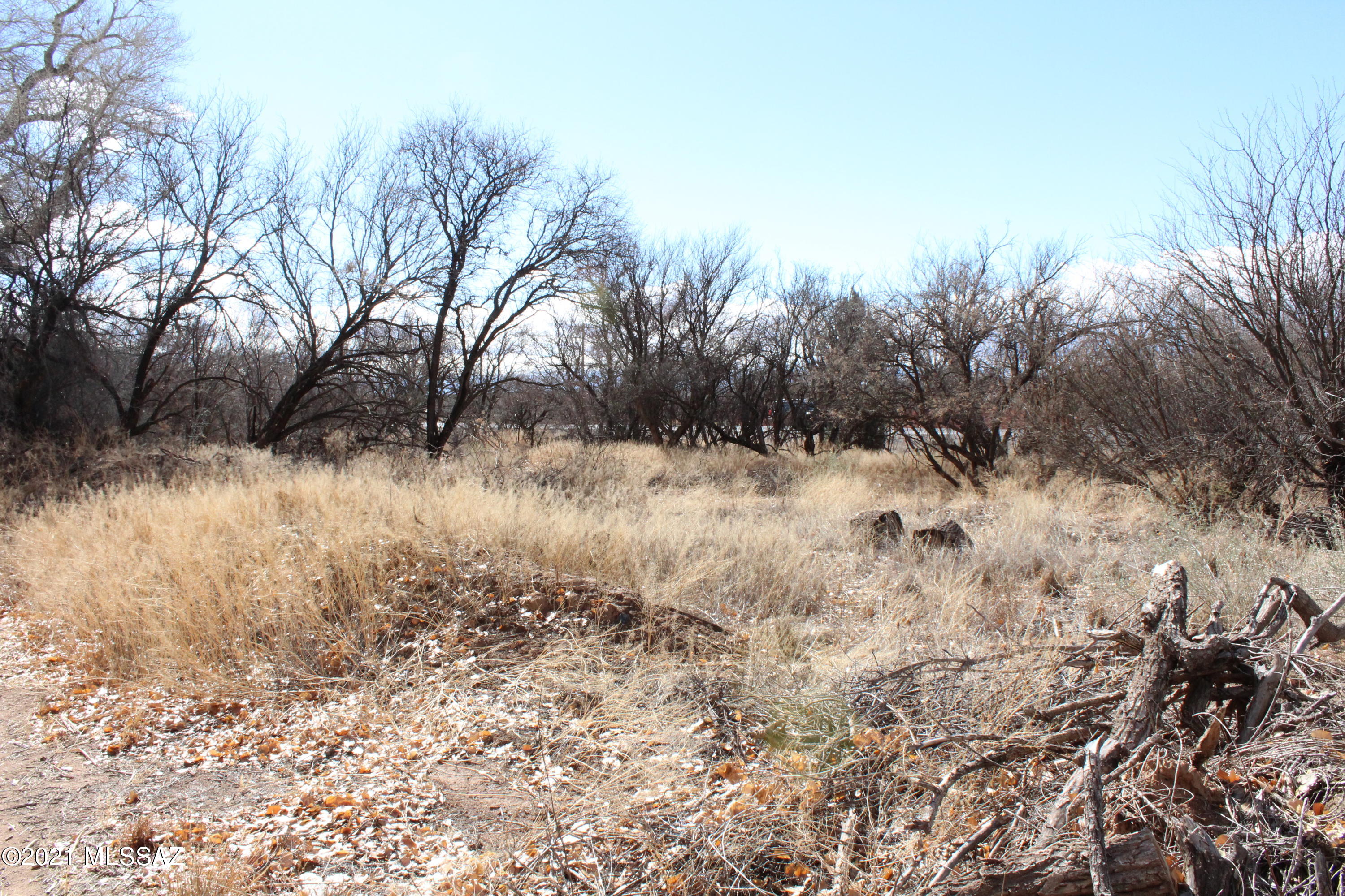 Out Of Pima County - Land