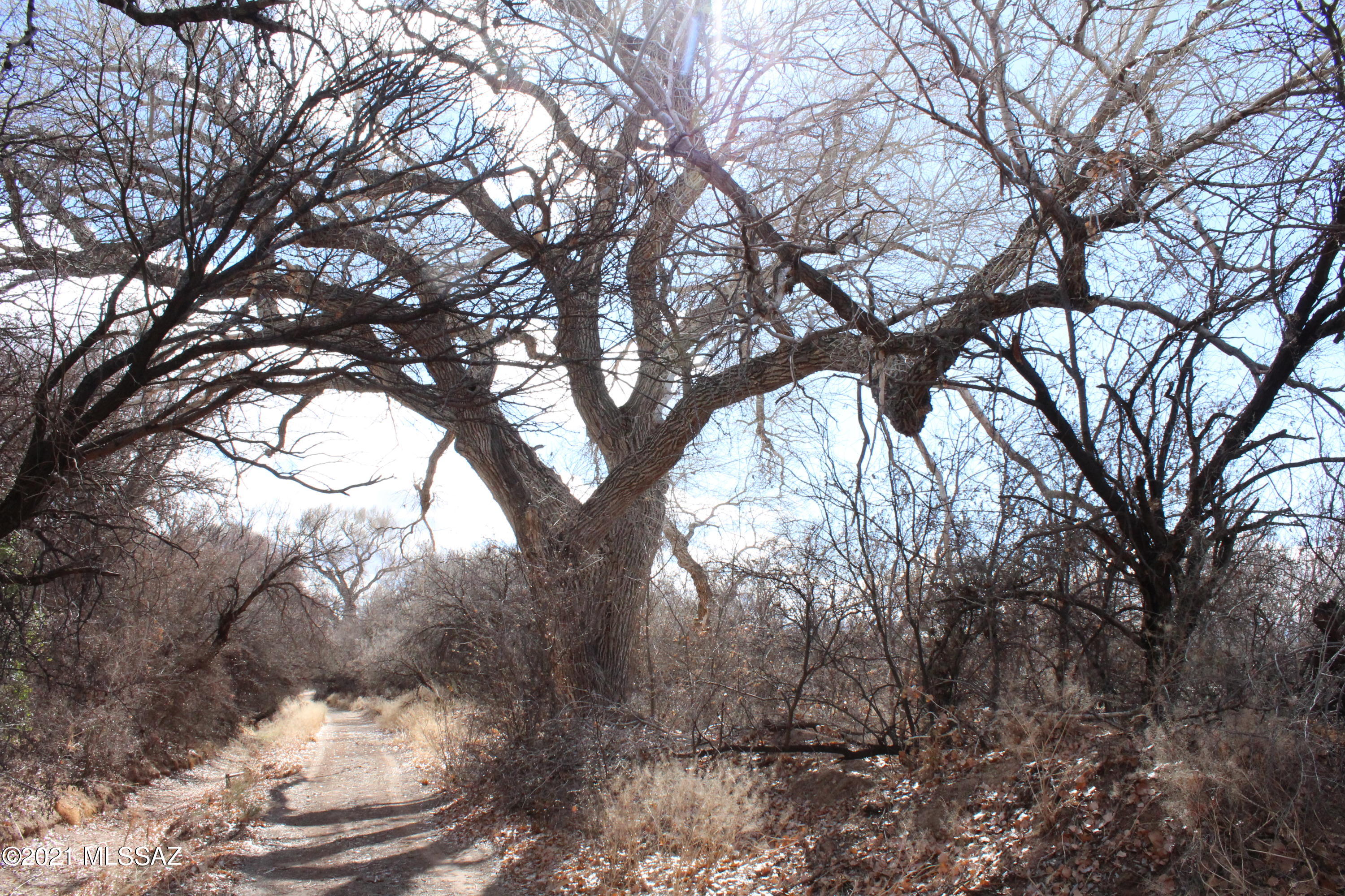 Out Of Pima County - Land