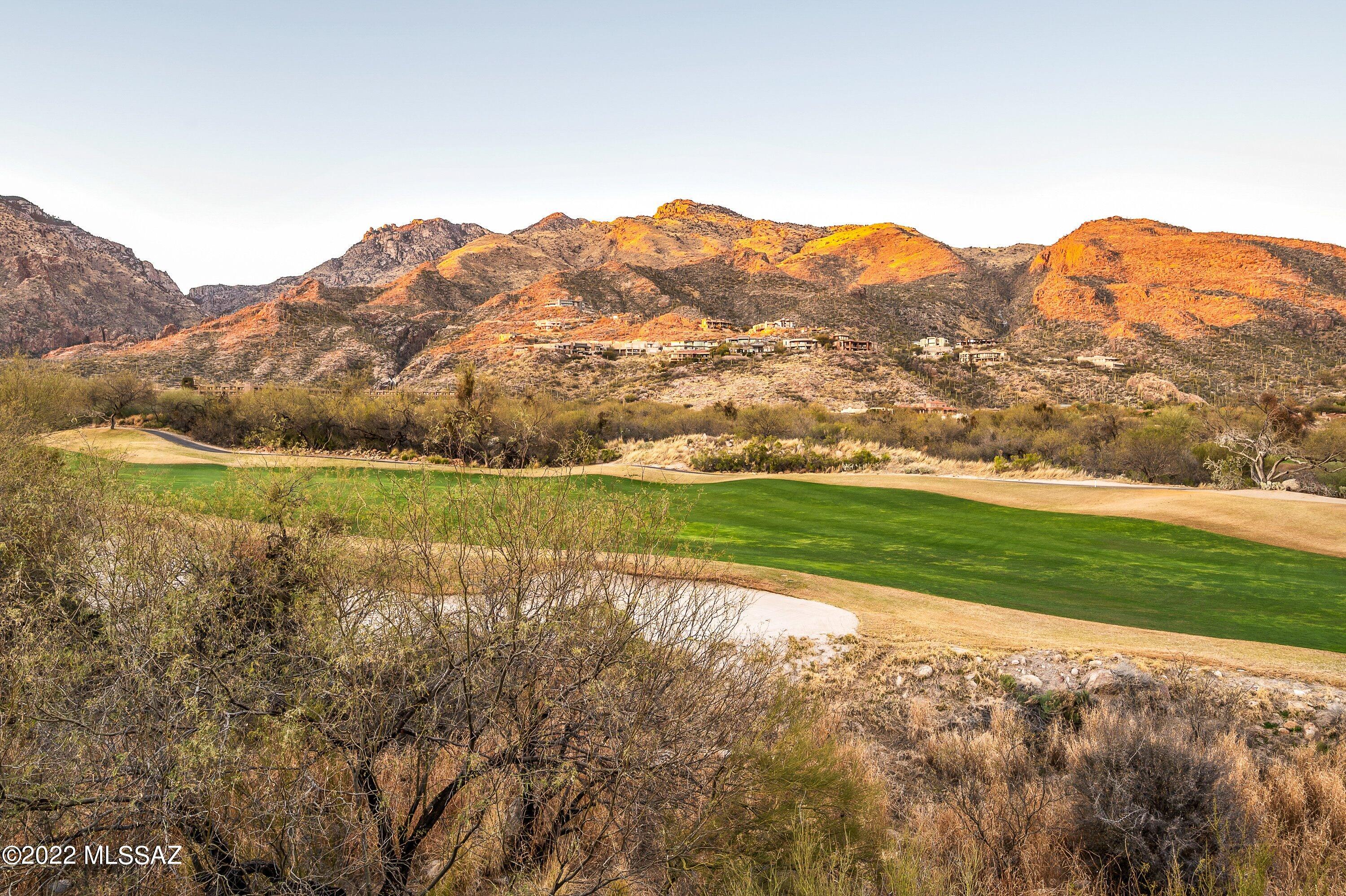 Whaleback Ridge Estates at Ventana Canyon (1-30) - Residential