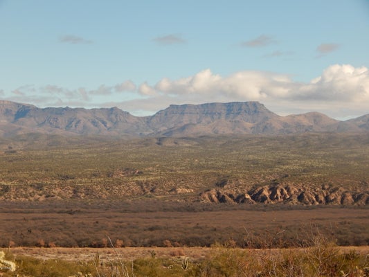 ADDRESS PRIVATE, MAMMOTH, AZ 85618 - Image ec6cf65c76cae10241096b39cc71e95a/3878254768