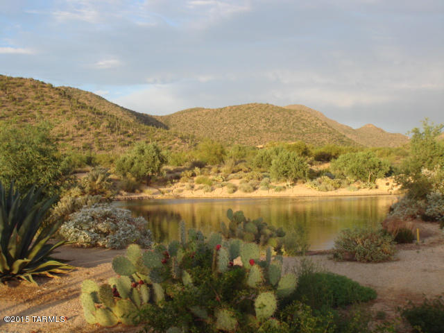 Dos Lagos at Dove Mountain (1-91) - Residential