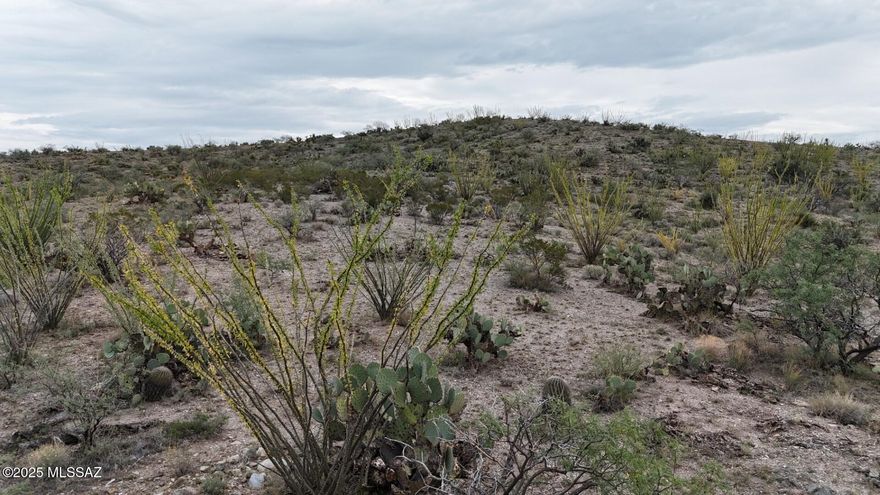 Looking for the peace and tranquility of a rural lifestyle?  This 20 acres with multiple potential building sites, Including hilltop with SPECTACULAR VIEWS is it!   Corner lot can be Off Grid, just drill a well and install septic. Beautiful Ocotillos and other desert flora and fauna.  Can be purchased with adjoining 20 acre lot, see MLS #22525994.
