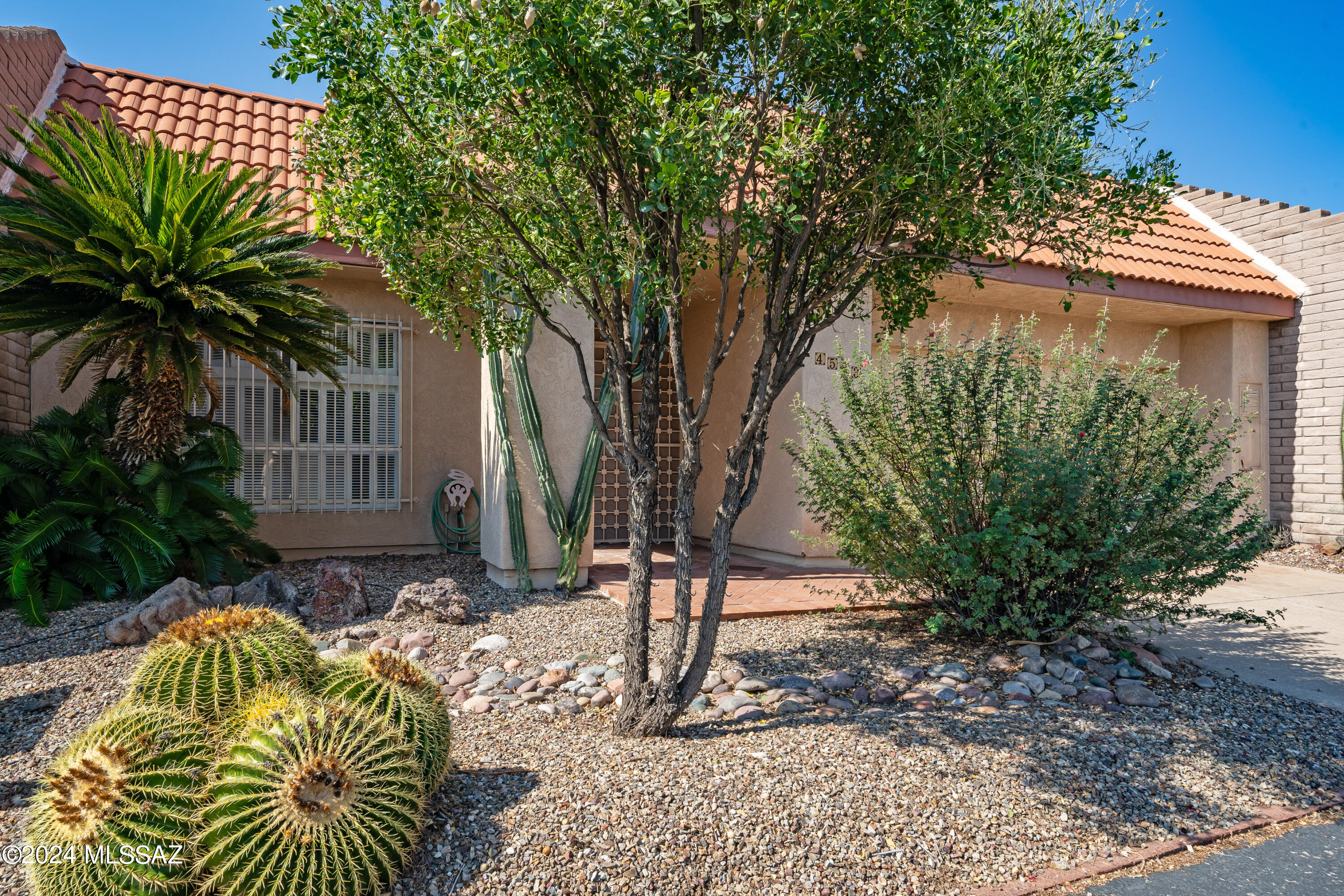 Catalina Del Rey (1-179) - Residential