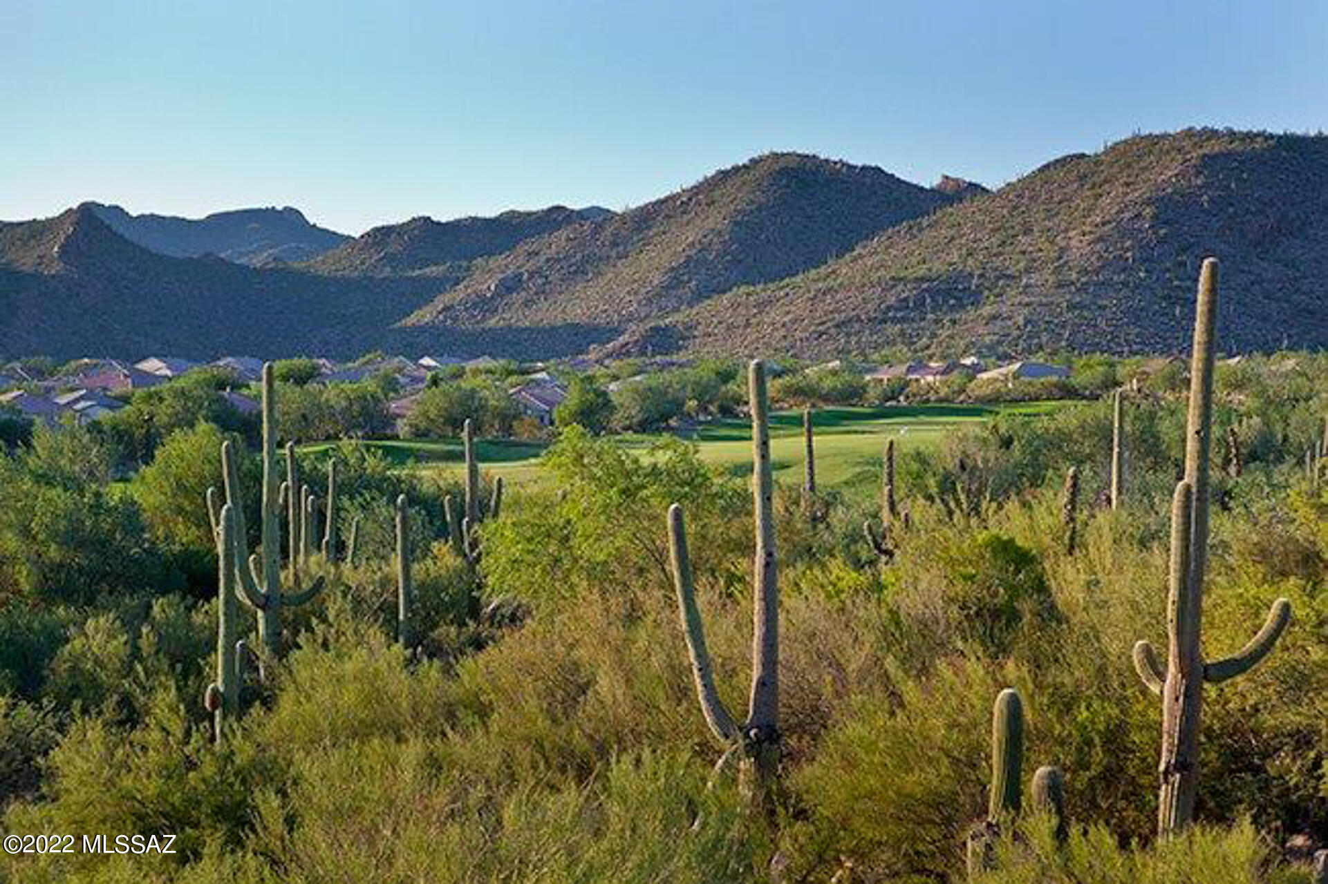 Heritage Highlands VI at Dove Mountain (977-1146) - Residential