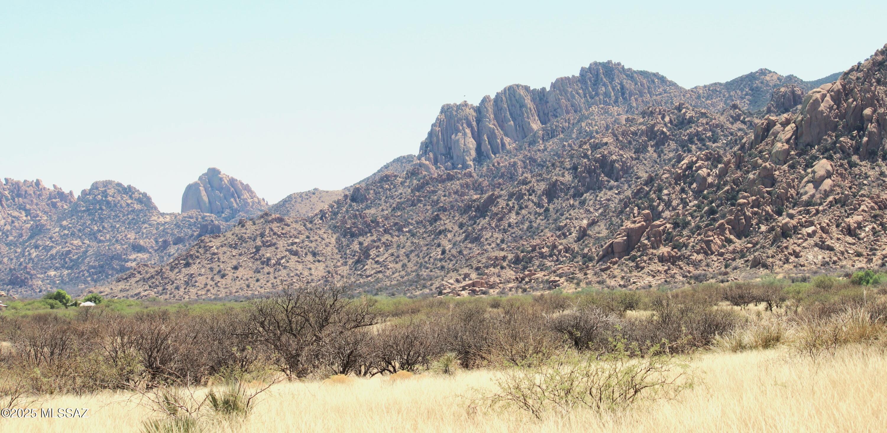 Dragoon Mountain Ranch - Land