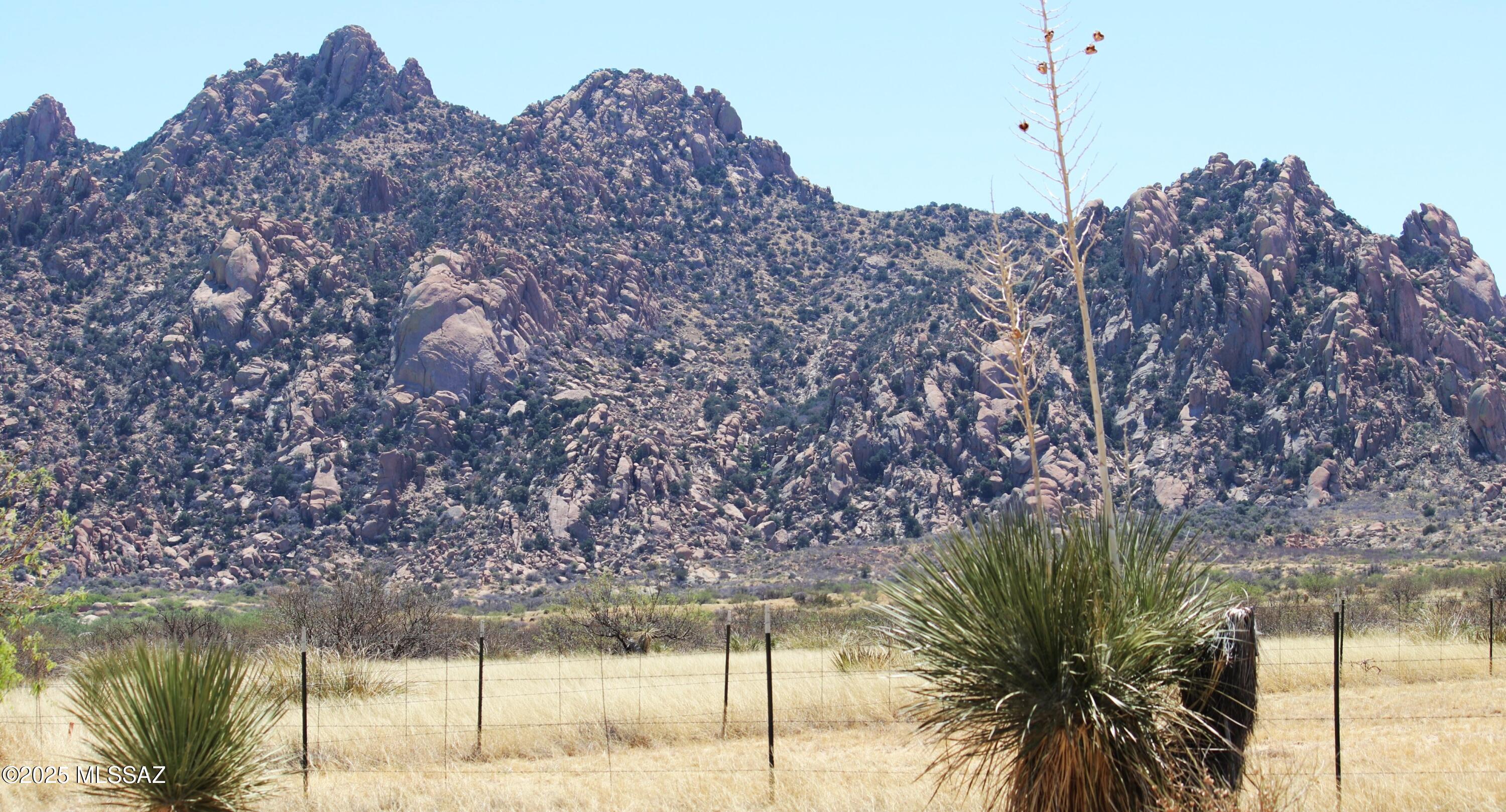 Dragoon Mountain Ranch - Land