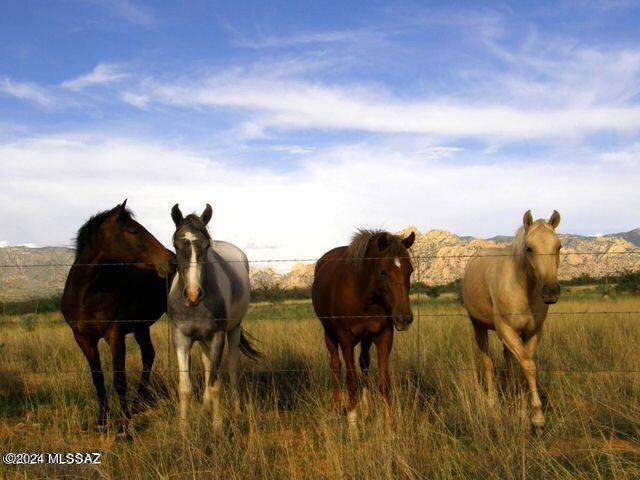 Dragoon Mountain Ranch - Land