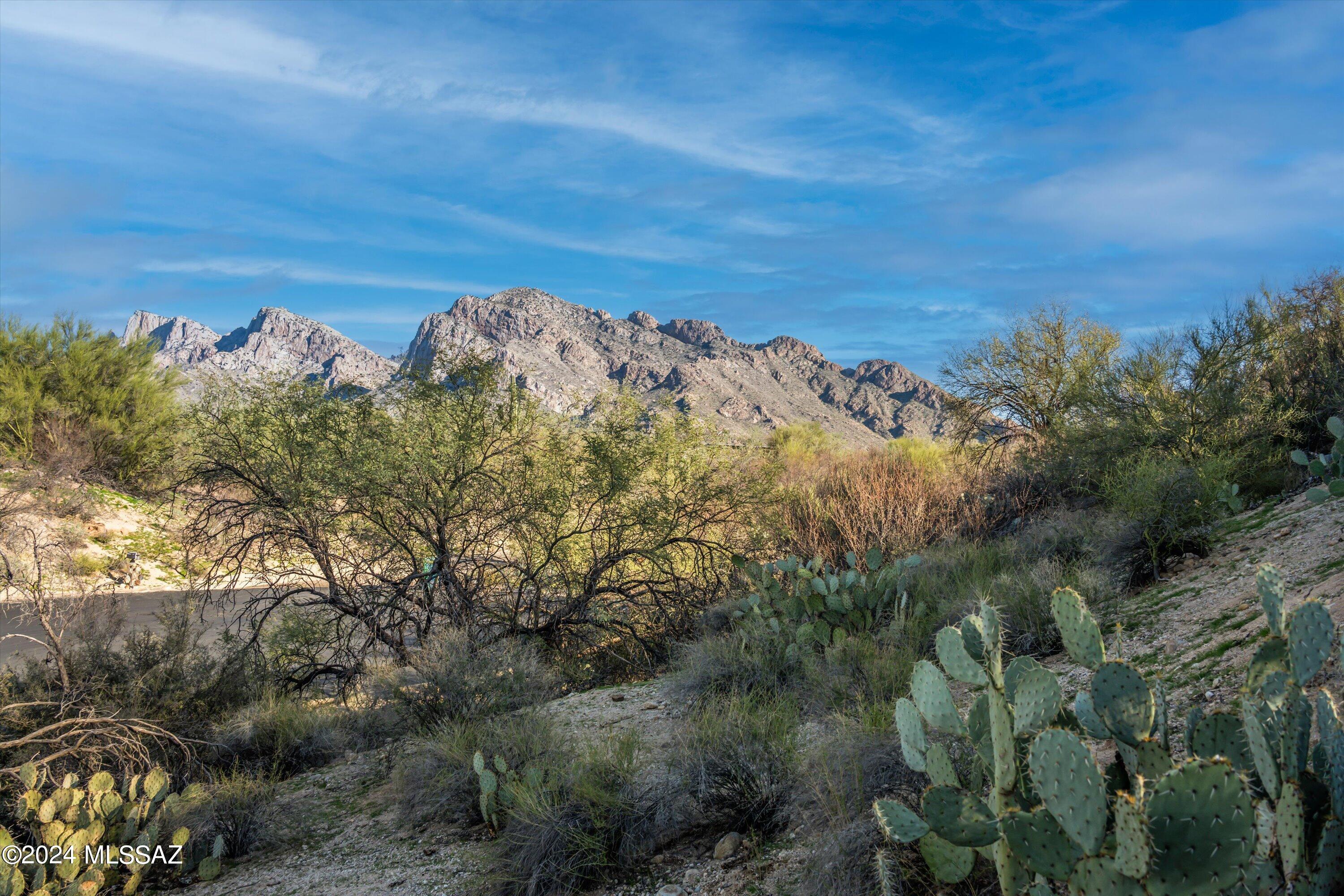 View Oro Valley, AZ 85737 property