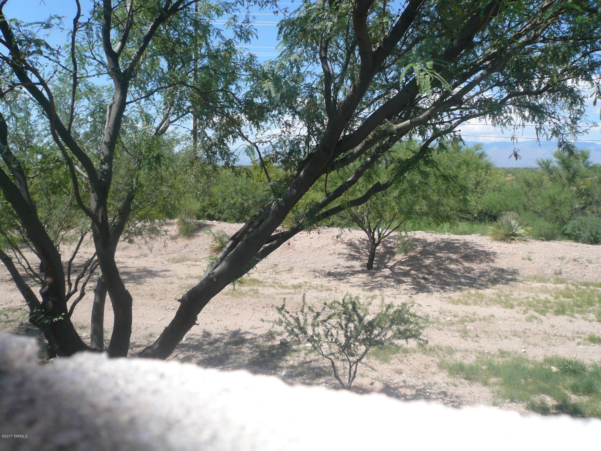 Desert Willow Estates (233-337, 340-353) - Residential