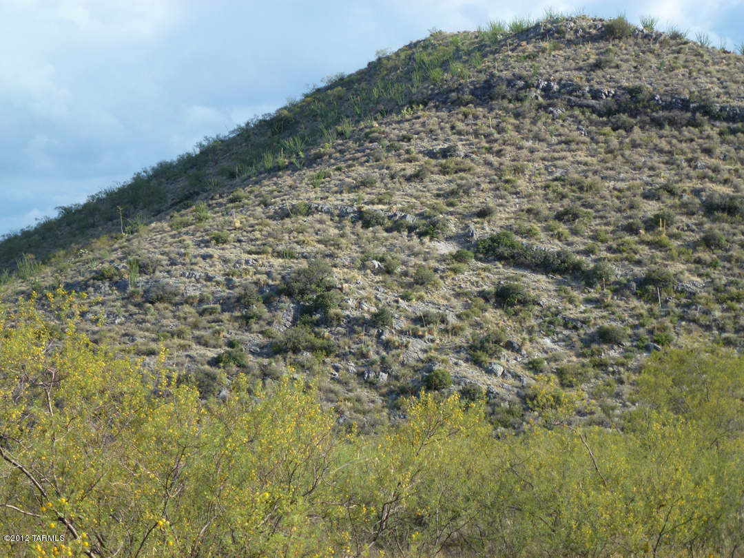 Out Of Pima County - Land