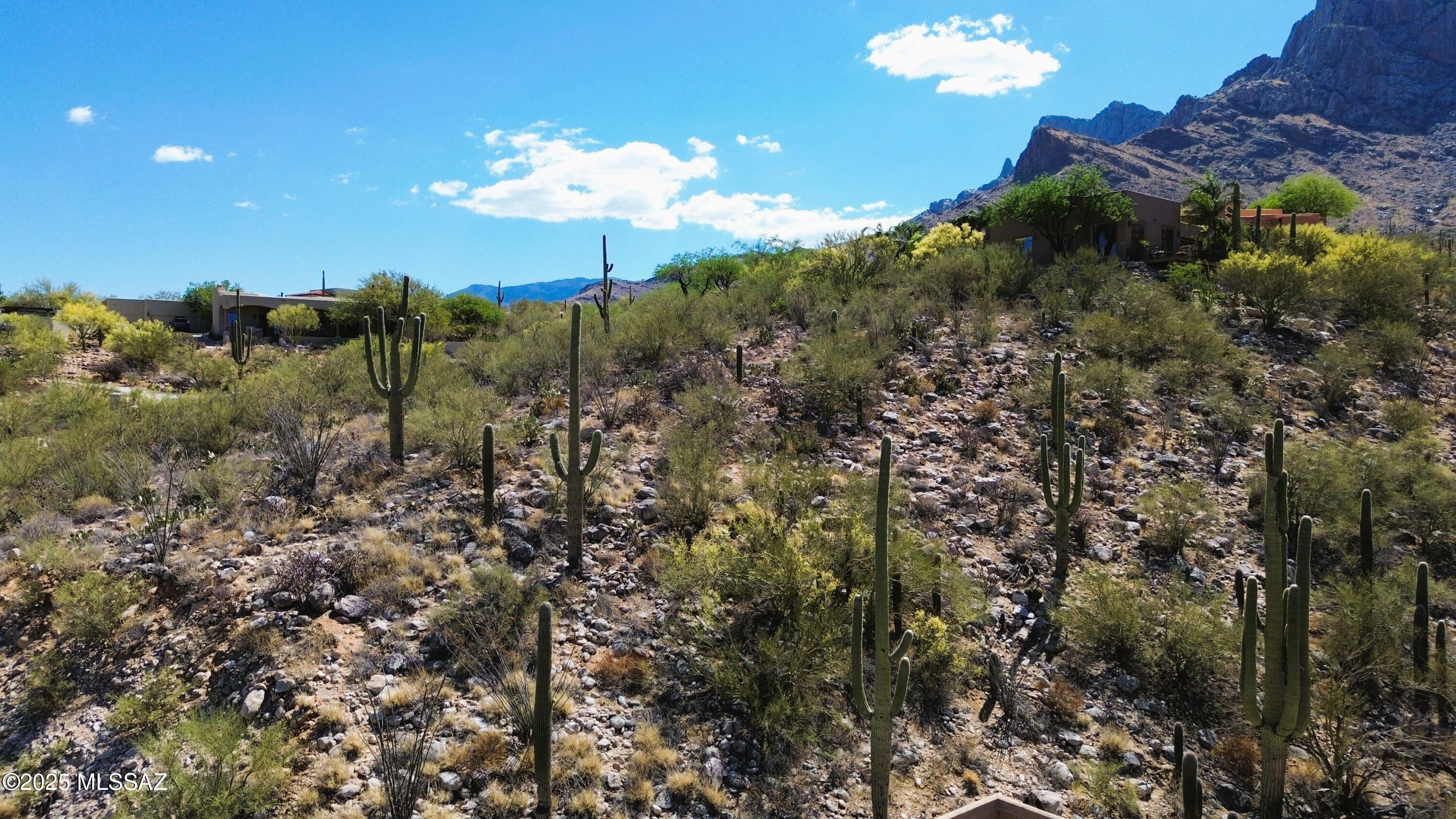 Crimson Canyon at Reserve (1-9) - Land