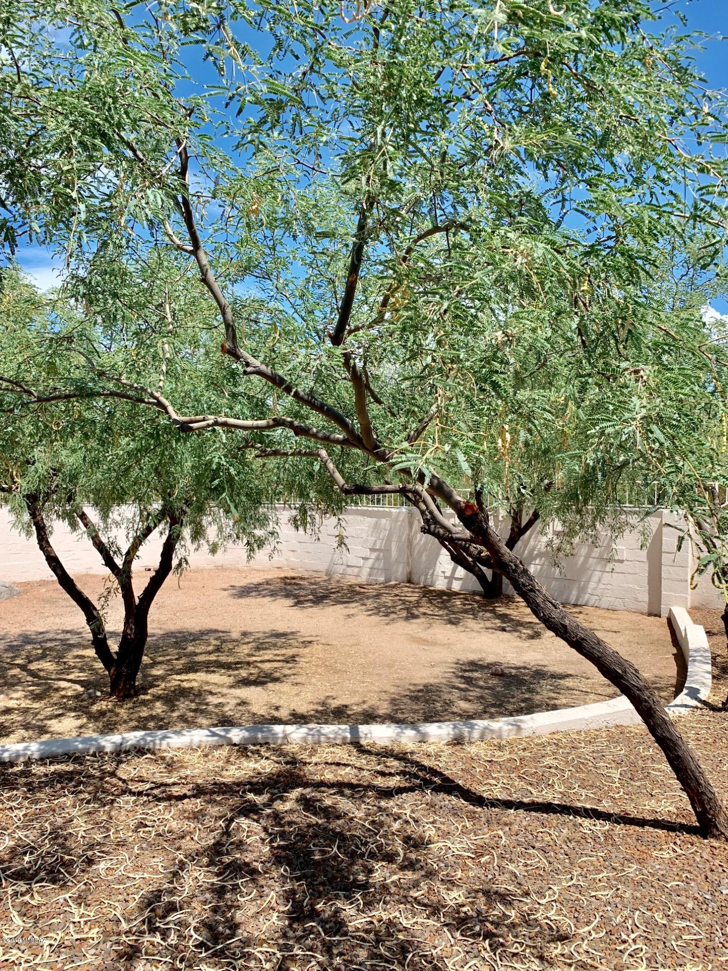 Arbor Vista (1-71) - Residential