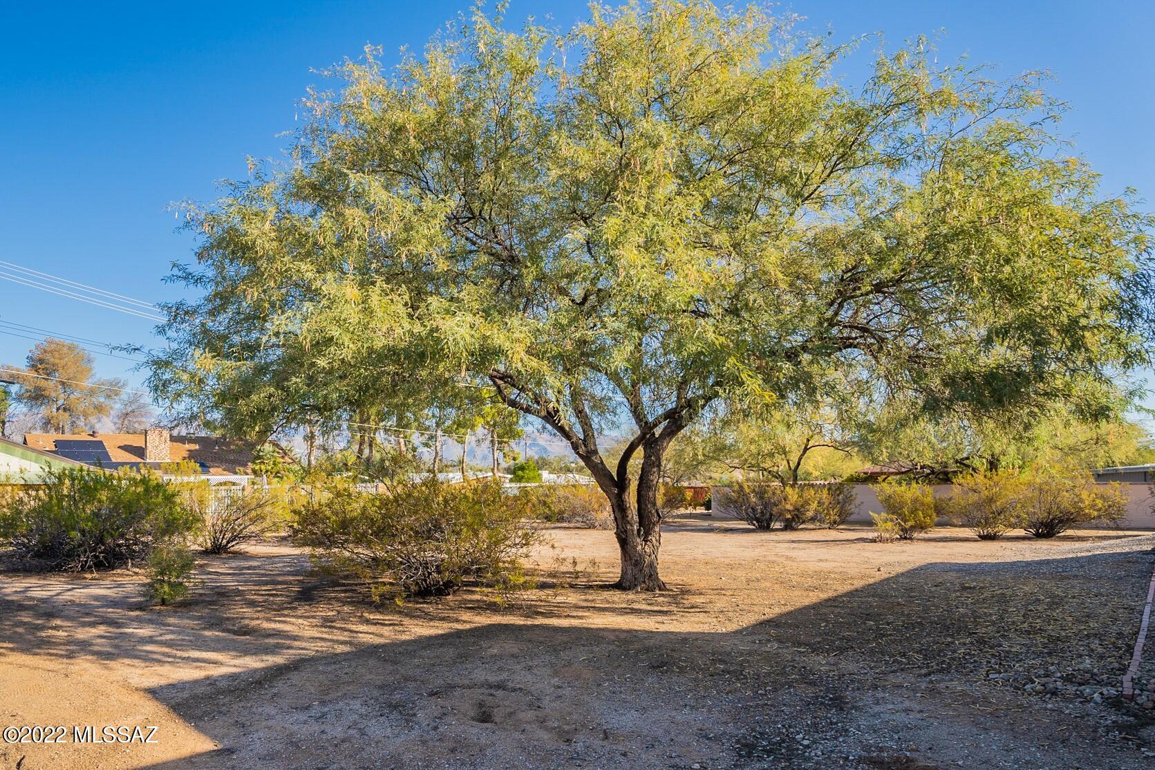 Pantano Ridge Estates - Residential