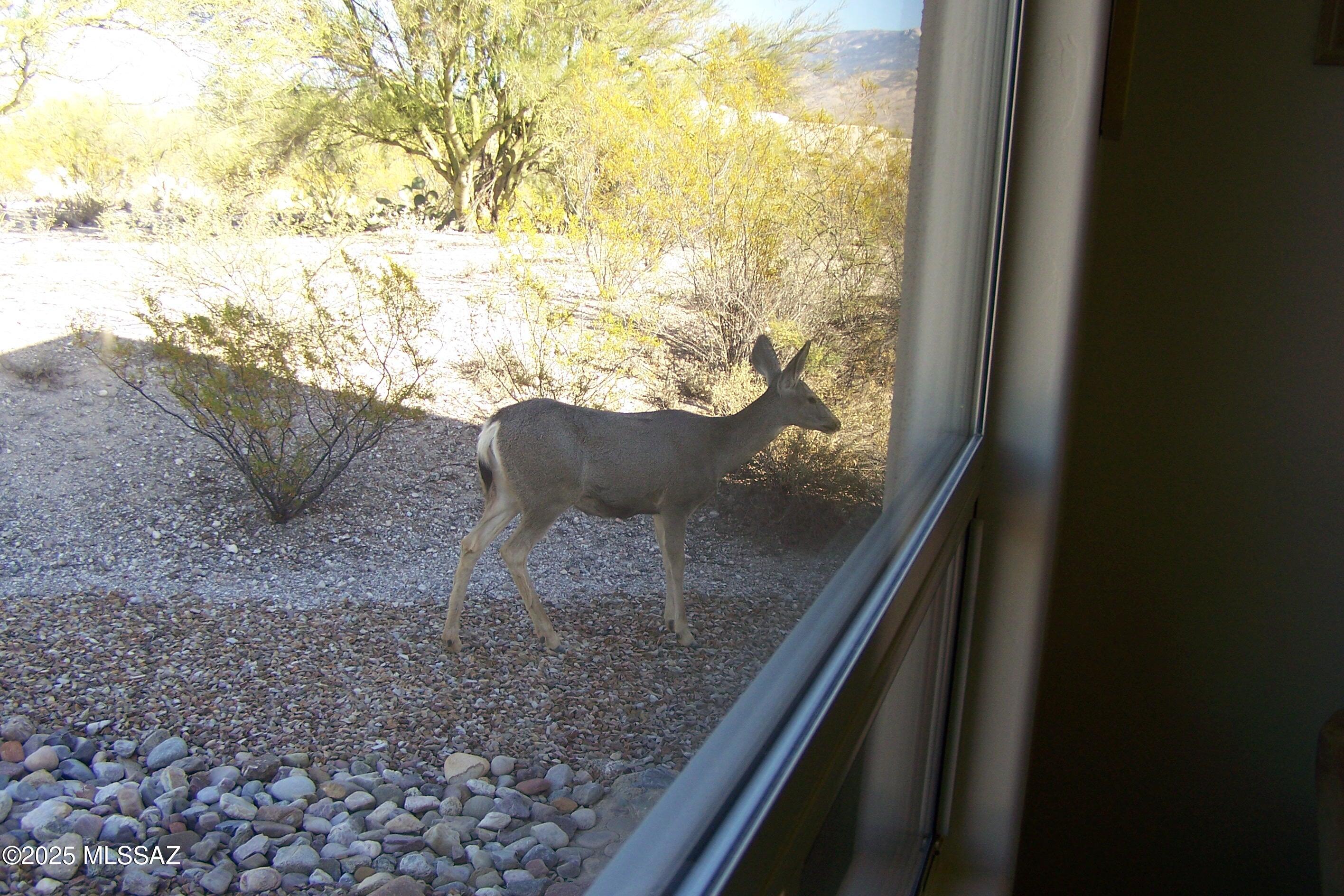 Wild Horse Ranch Estates (1-66) - Residential