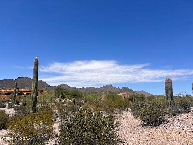 View Tucson, AZ 85745 land