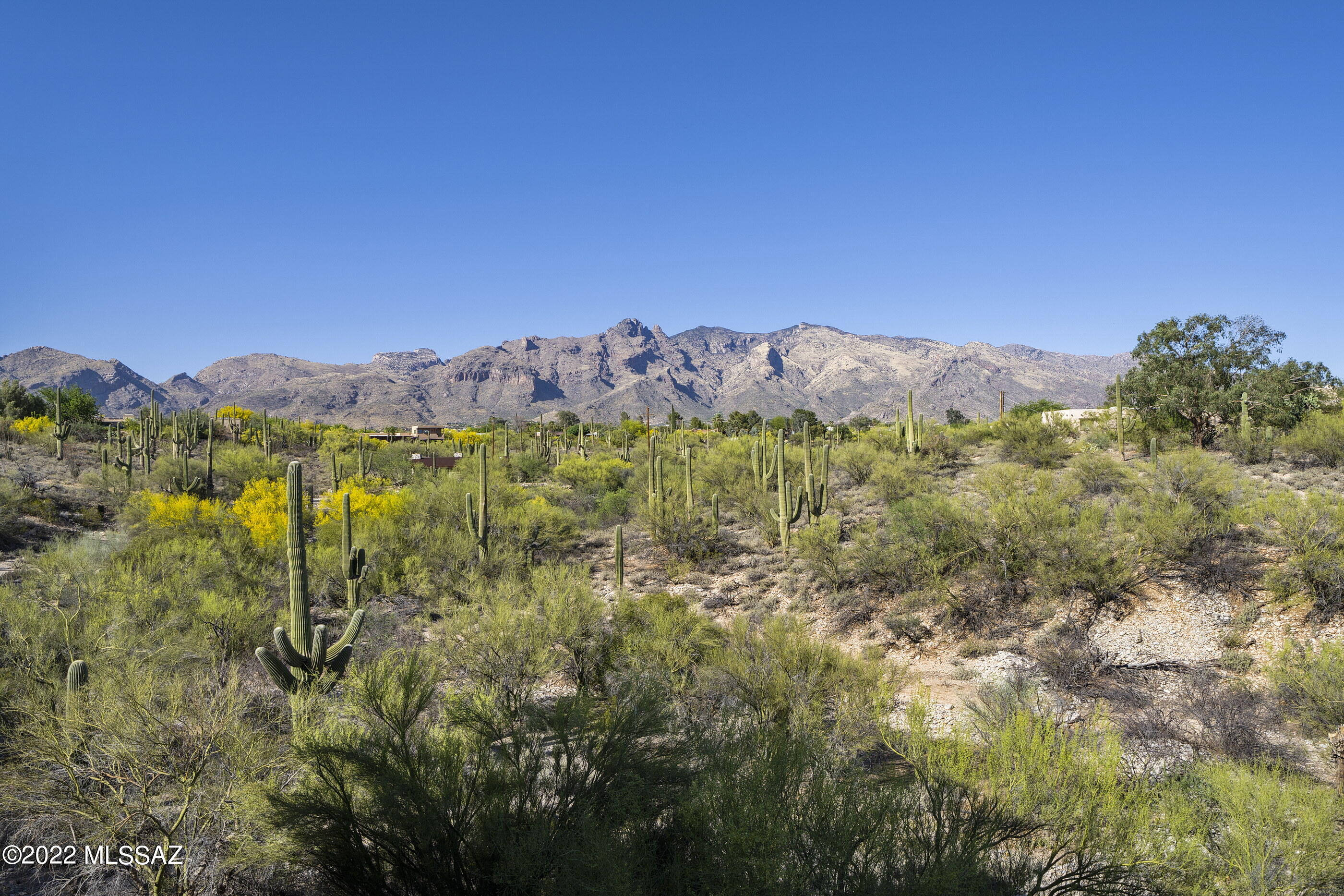 Catalina Foothills Estates - Residential