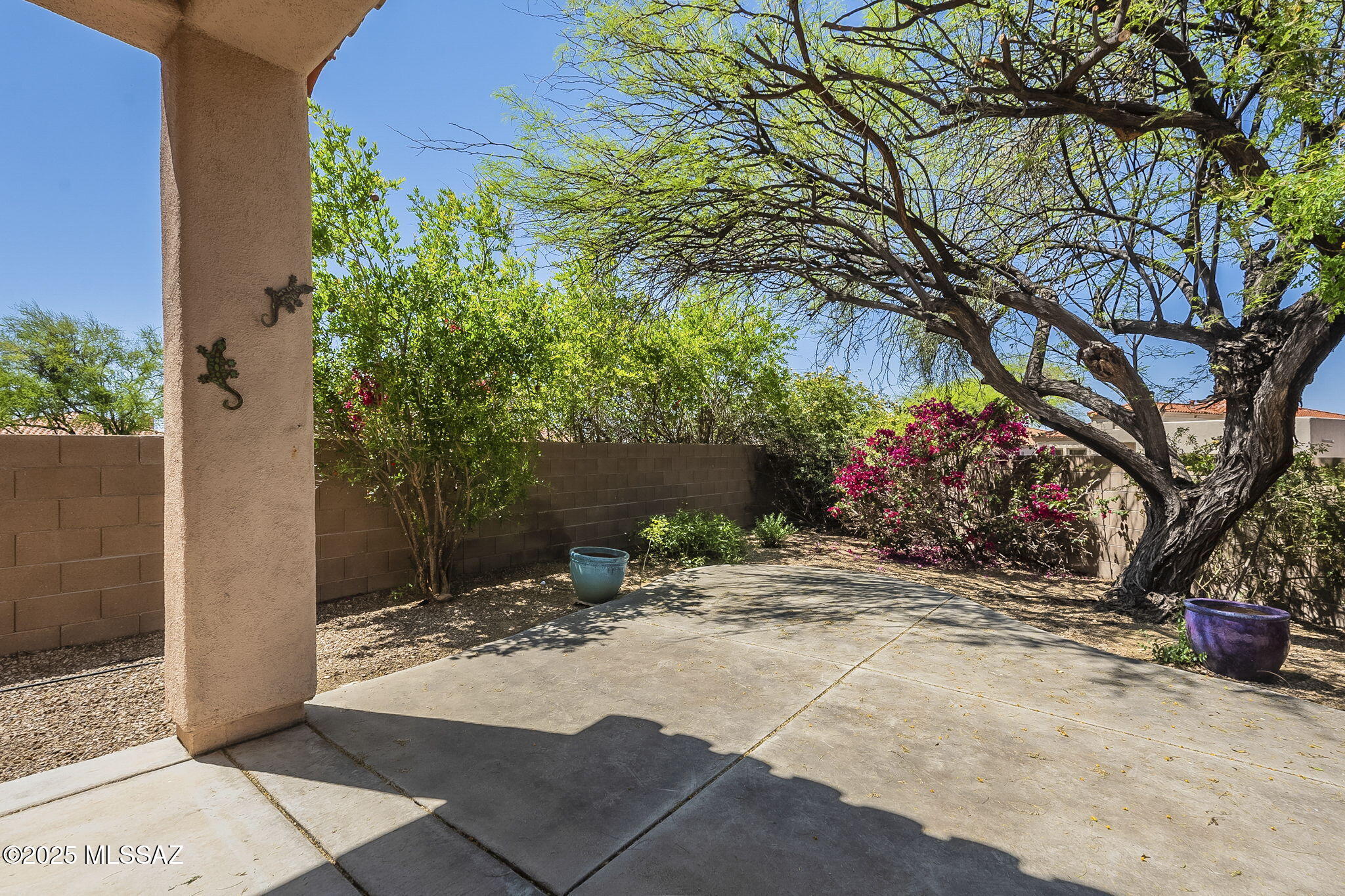 Sterling Springs at Sabino Springs(1-64) - Residential