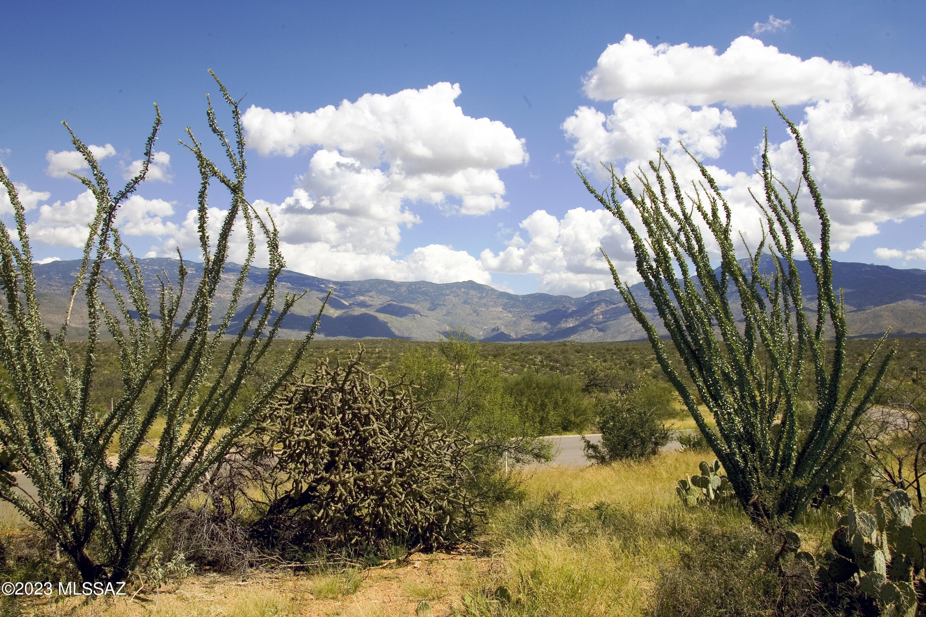 Coyote Creek (1-395) - Land