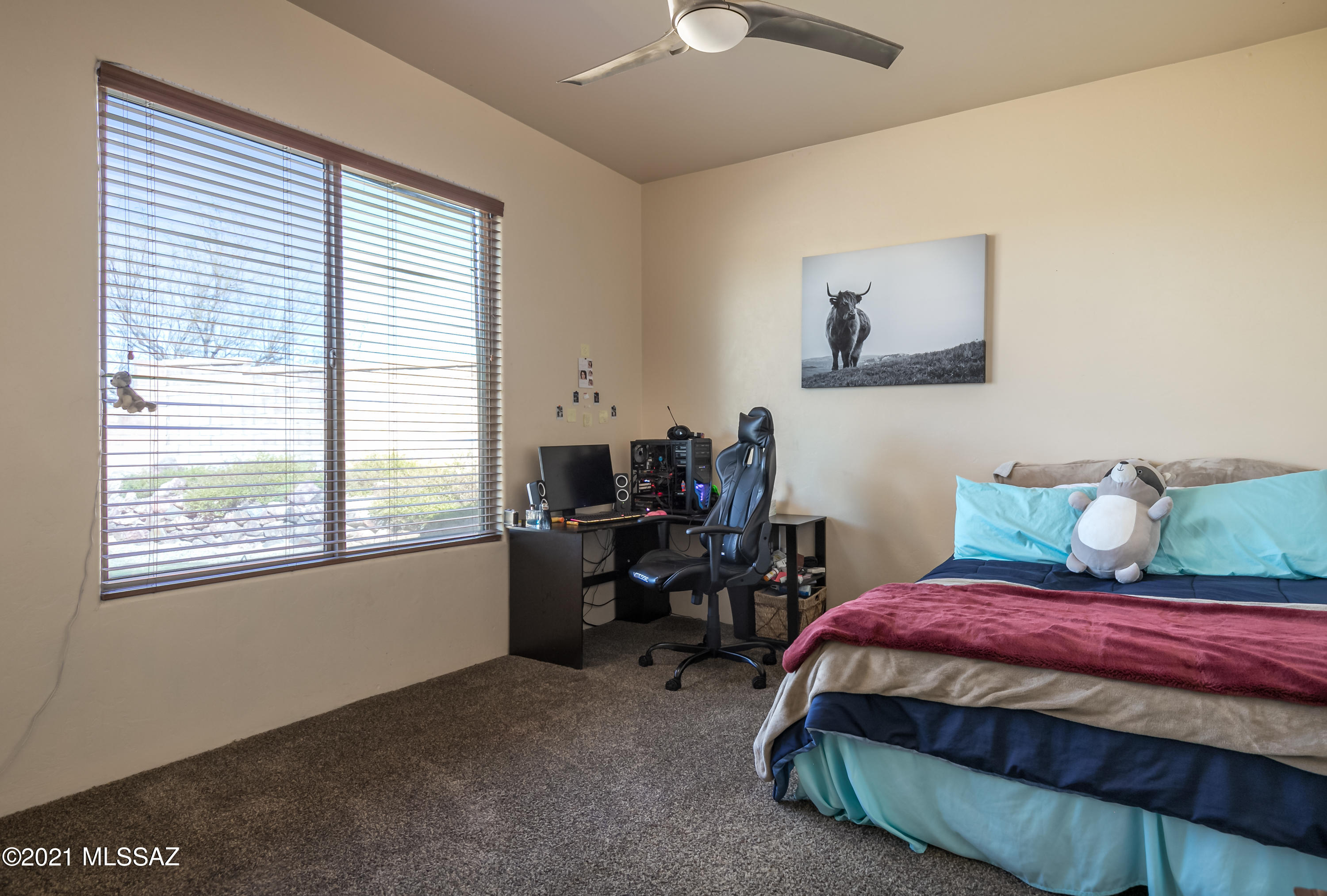 Pusch Ridge Vistas (1-31) - Residential