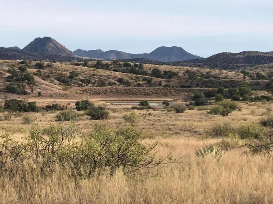 A ranch the size of Bar Boot, offering 13,714 contiguous, deeded acres and including a combined total of 12,066 acres of leased land being presented to the market, is an absolute rarity. It is located 21 miles north of Douglas and two hours southeast of Tucson, in the vast Turkey Creek watershed. The ranch is ideally situated on the east side of the Swisshelm Mountains and on the west side of the Chiricahua Mountains, and also adjacent to the Coronado National Forest and Chiricahua Wilderness Area. The ranch has been expertly managed and the water resources have been extensively developed throughout the ranch. Including, thousands of gabions, hundreds of dirt tanks, strategically located water catchments, numerous ponds and several small lakes. There are several homes on the ranch. MORE. The property possesses tremendous biodiversity ranging from Orvis endorsed quail habitat, extensive creek bottom, diverse topography, plentiful wildlife habitat, prolific rock outcroppings, six different soil types, a variety of grasses, and situated between two mountain ranges featuring multiple steep gradient drainages that directly feed the lower elevation bottom land. The land is characterized by a variety of oak species, old growth cottonwoods, sycamore, juniper, pinon pines, cholla and yucca cactus. Set in a dramatically scenic landscape, featuring panoramic long distance views, the land is extremely well protected, ideally located in its own sheltered and protected valley, ensuring the utmost privacy and seclusion.

In 2008, Ms. Valer Clark, received a conservation management award; the Conservationist of the Year from the Arizona Chapter of the American Fisheries Society, and the 2008 National Wetlands Award for landowner stewardship. Her restorative habitat work is recognized around the globe. The owner has worked tirelessly, installing thousands of gabion/rock structures to promote water retention, prevent erosion and increase soil levels. Bar Boot Ranch is an example of her lifelong passion, work ethic and stewardship.
Offered in cooperation with Hall and Hall.