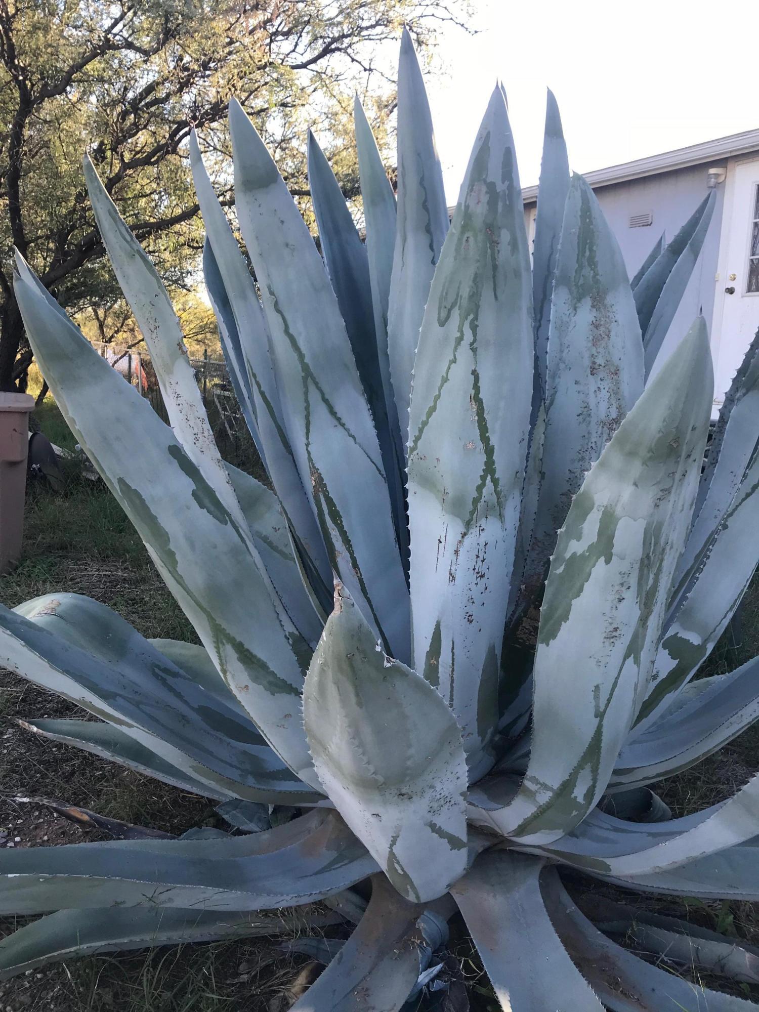 Mescal Lakes - Residential