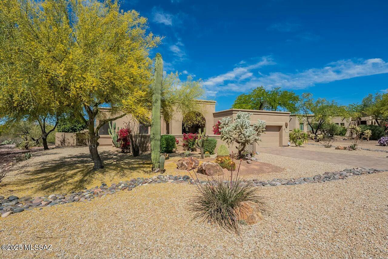 11255 N Meadow Sage Drive