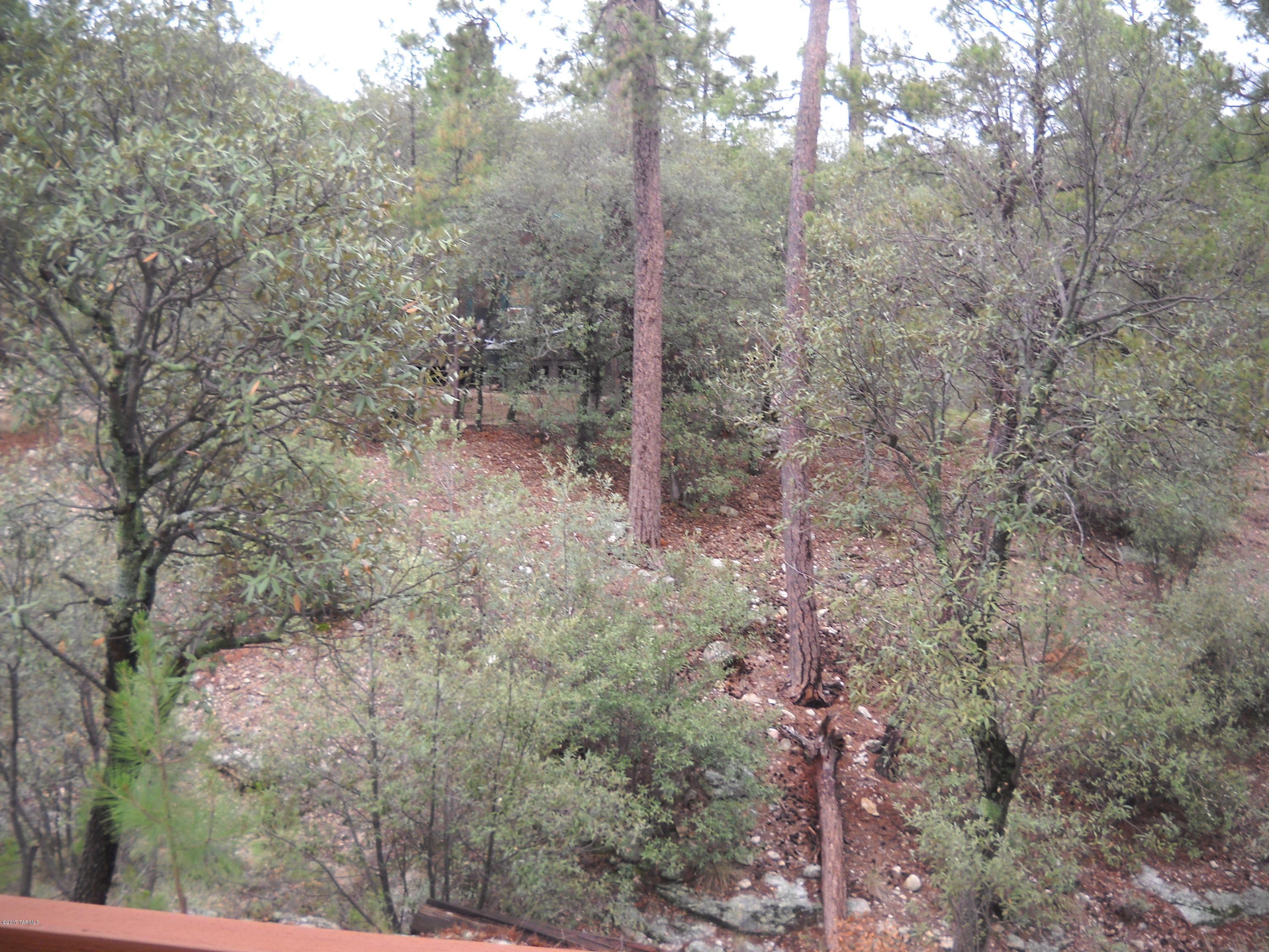 Willow Canyon - Residential