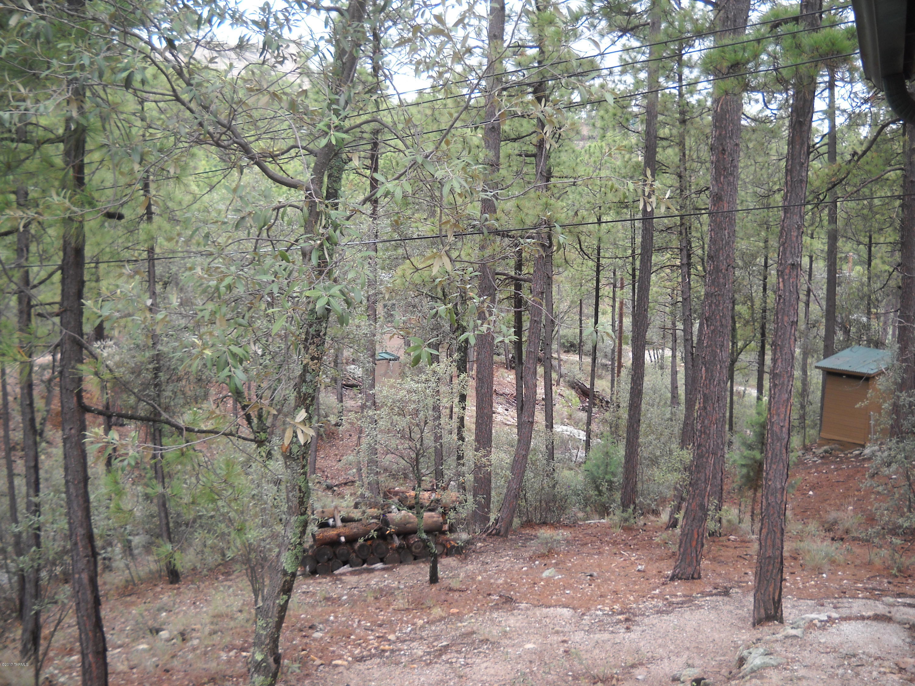 Willow Canyon - Residential