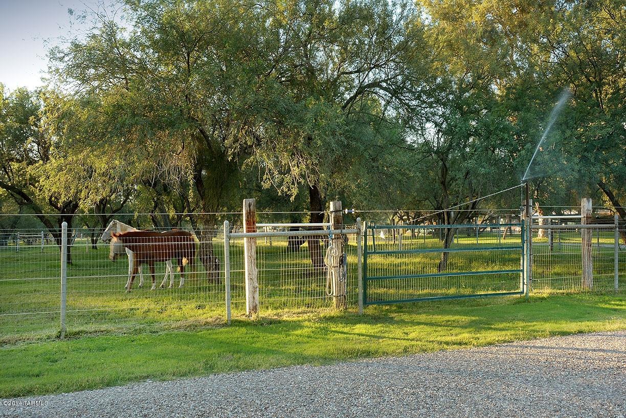 Tanque Verde Country Estates - Residential