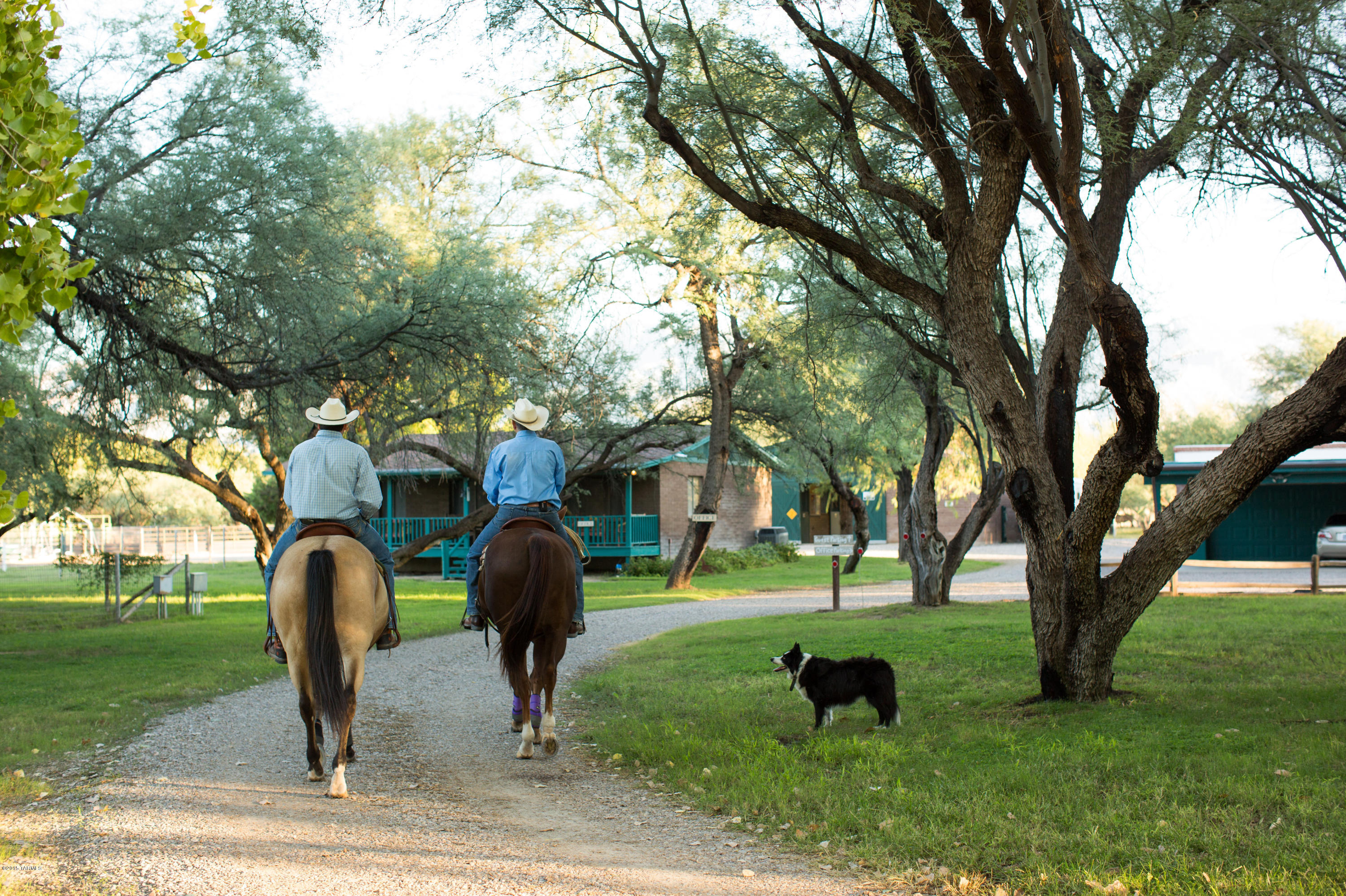 Tanque Verde Country Estates - Residential